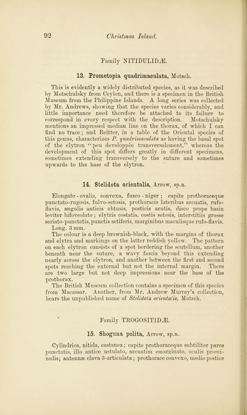 Family NITIDTJLIDiE. 13. Prometopia quadrimaculata, Motsch. This is evidently a widely distributed species, as it was described by Motschulsky from Ceylon, and there is a specimen in the British Museum from the Philippine Islands. A long series was collected by Mr. Andrews, showing that the species varies considerably, and little importance need therefore be attached to its failure to correspond in every respect with the description. Motschulsky mentions an impressed median line on the thorax, of which I can find no trace ; and Reitter, in a table of the Oriental species of this genus, characterizes P. quadrimaculata as having the basal spot of the elytron “ peu developpee transversalement,” whereas the development of this spot differs greatly in different specimens, sometimes extending transversely to the suture and sometimes upwards to the base of the elytron. 14. Stelidota orientalis, Arrow, sp.n. Elongato - ovalis, convexa, fusco - niger ; capite prothoraceque punctato-rugosis, fulvo-setosis, prothoracis lateribus arcuatis, rufo- havis, angulis anticis ohtusis, posticis acutis, disco prope basin leviter bifoveolato ; elytris costatis, costis setosis, interstitiis grosse seriato-punctatis,punctis setiferis, marginibus maculisque rufo-flavis. Long. 3 mm. The colour is a deep brownish-black, with the margins of thorax and elytra and markings on the latter reddish yellow. The pattern on each elytron consists of a spot bordering the scutellum, another beneath near the suture, a wavy fascia beyond this extending nearly across the elytron, and another between the first and second spots reaching the external but not the internal margin. There are two large but not deep impressions near the base of the prothorax. The British Museum collection contains a specimen of this species from Macassar. Another, from Mr. Andrew Murray’s collection, bears the unpublished name of Stelidota orientalis, Motsch. Family TROGOSITID.E. 15. Shoguna polita, Arrow, sp.n. Cylindrica, nitida, castanea; capite prothoraceque suhtiliter parce punctatis, illo antice ustulato, arcuatim emarginato, oculis promi- nulis; antennae clava 3-articulata; prothorace convexo, medio postice