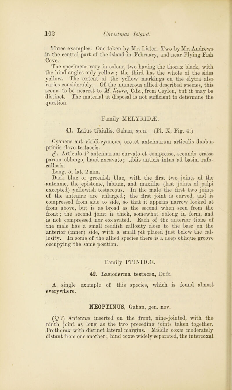 Three examples. One taken by Mr. Lister. Two by Mr. Andrews in the central part of the island in February, and near Flying Fish Cove. The specimens vary in colour, two having the thorax black, with the hind angles only yellow; the third has the whole of the sides yellow. The extent of the yellow markings on the elytra also varies considerably. Of the numerous allied described species, this seems to he nearest to M. litura, Cdz., from Ceylon, but it may he distinct. The material at disposal is not sufficient to determine thn question. Family MELYIlIDiE. 41. Laius tibialis, Gahan, sp.n. (PI. X, Fig. 4.) Cyaneus aut viridi-cyaneus, ore et antennarum articulis duobus primis flavo-testaceis. <J. Articulo 1° antennarum curvato et compresso, secundo crasso parum oblongo, baud excavato; tibiis anticis intus ad basim rufo- callosis. Long. 5, lat. 2 mm. Dark blue or greenish blue, with the first two joints of the antennae, the epistome, labium, and maxillae (last joints of palpi excepted) yellowish testaceous. In the male the first two joints of the antennae are enlarged; the first joint is curved, and is compressed from side to side, so that it appears narrow looked at from above, hut is as broad as the second when seen from the front; the second joint is thick, somewhat oblong in form, and is not compressed nor excavated. Each of the anterior tibiae of the male has a small reddish callosity close to the base on the anterior (inner) side, with a small pit placed just below the cal- losity. In some of the allied species there is a deep oblique groove occupying the same position. Family PTIXIDJL 42. Lasioderma testacea, Duft. A single example of this species, which is found almost everywhere. NEOPTINUS, Gahan, gen. nov. (9?) Antennae inserted on the front, nine-jointed, with the ninth joint as long as the two preceding joints taken together. Pro thorax with distinct lateral margins. Middle coxae moderately distant from one another; hind coxae widely separated, the intercoxal