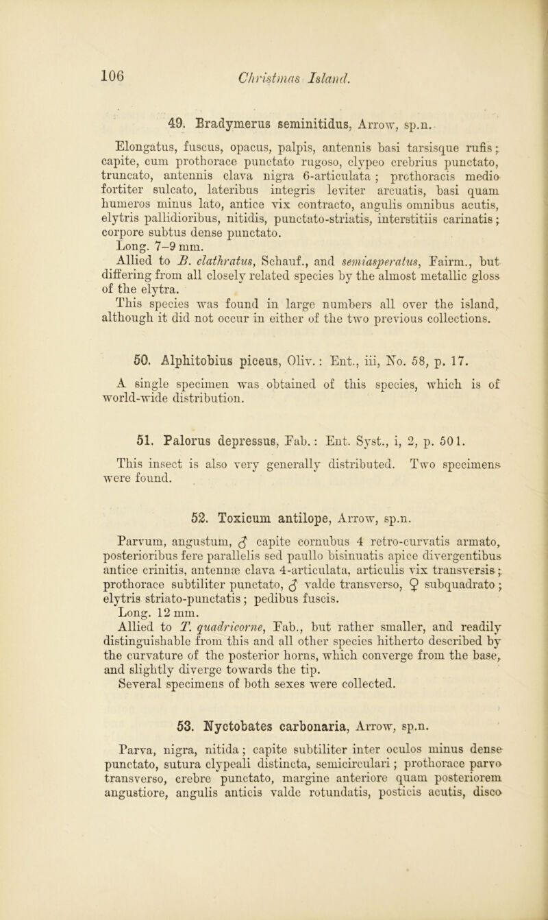 49. Bradymerus seminitidus, Arrow, sp.n. Elongatus, fuscus, opacus, palpis, antennis basi tarsisque rufis * capite, cum prothorace punctato rugoso, clypeo crebrius punctato, truncato, antennis clava nigra 6-articulata ; protboracis medio fortiter sulcato, lateribus integris leviter arcuatis, basi quam bumeros minus lato, antice vix contracto, angnlis omnibus acutis, elytris pallidioribus, nitidis, punctato-striatis, interstitiis carinatis; corpore subtus dense punctato. Long. 7-9 mm. Allied to B. clathratus, Scbauf., and semiasperatus, Eairm., but differing from all closely related species by tbe almost metallic gloss of tbe elytra. Tbis species was found in large numbers all oyer tbe island,, altbougb it did not occur in either of tbe two previous collections. 50. Alpbitobius piceus, Oliv.: Ent., iii, Xo. 58, p. 17. A single specimen was obtained of tbis species, wbicb is of world-wide distribution. 51. Palorus depressus, Eab.: Ent. Syst., i, 2, p. 501. Tbis insect is also very generally distributed. Two specimens were found. 52. Toxicum antilope, Arrow, sp.n. Parvum, angustum, capite cornubus 4 retro-curvatis armato, posterioribus fere parallelis sed paullo bisinuatis apice divergentibus antice crinitis, antennae clava 4-articulata, articulis yix transversis protborace subtiliter punctato, valde transverso, 9 subquadrato; elytris striato-punctatis ; pedibus fuscis. Long. 12 mm. Allied to T. quadricorne, Eab., but rather smaller, and readily distinguishable from tbis and all other species hitherto described by tbe curvature of the posterior horns, wbicb converge from tbe base, and slightly diverge towards tbe tip. Several specimens of both sexes were collected. 53. Nyctobates carbonaria, Arrow, sp.n. Parva, nigra, nitida; capite subtiliter inter oculos minus dense punctato, sutura clypeali distincta, semicirculari; protborace parvo transverso, crebre punctato, margine anteriore quam posteriorem angustiore, angulis anticis valde rotundatis, posticis acutis, disco