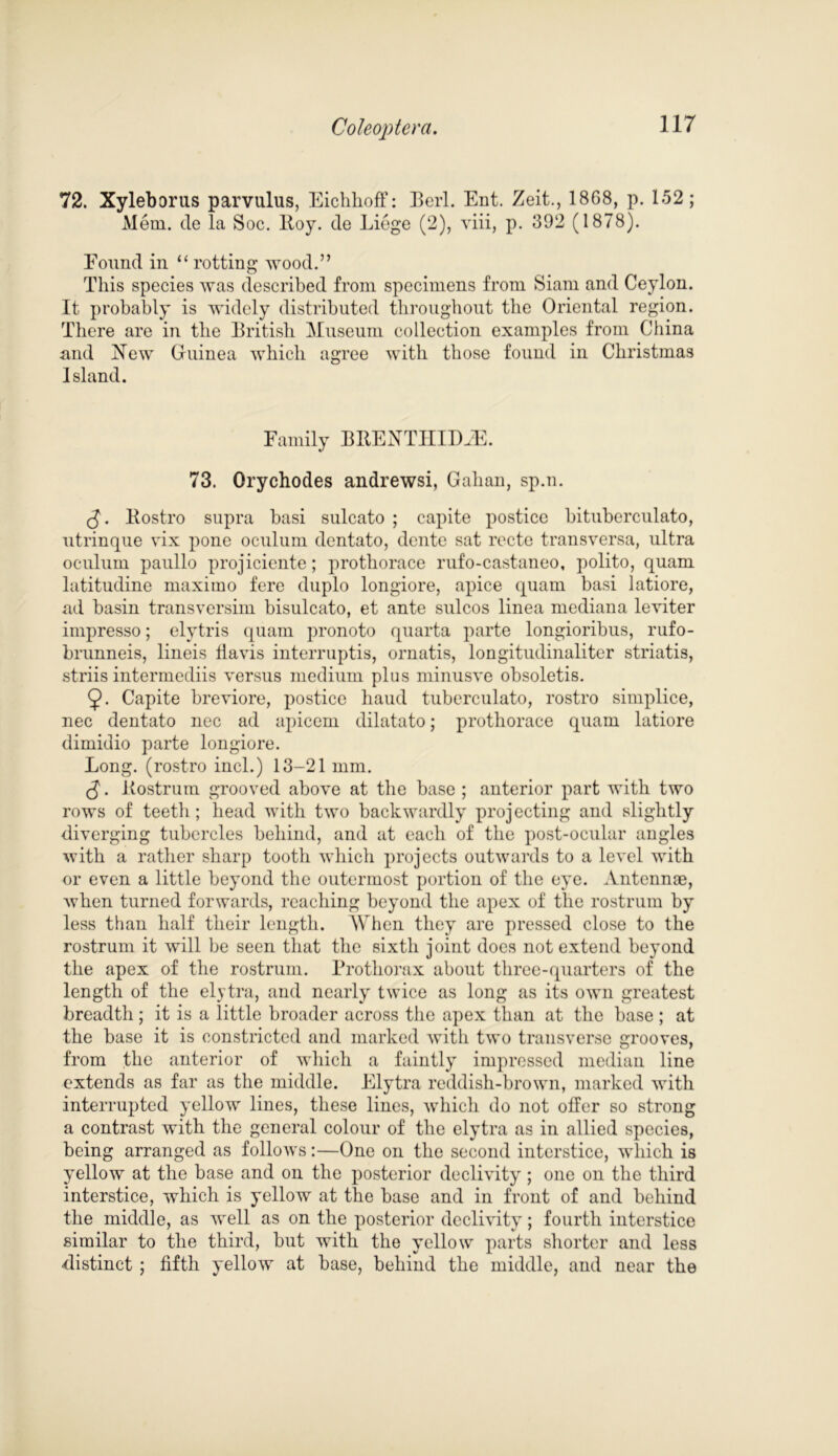 72. Xyleborus parvulus, Eichhoff: Berl. Ent. Zeit., 1868, p. 152; Mem. de la Soc. Hoy. de Liege (2), viii, p. 392 (1878). Eoimd in “rotting wood.” This species was described from specimens from Siam and Ceylon. It probably is widely distributed throughout the Oriental region. There are in the British Museum collection examples from China and New Guinea which agree with those found in Christmas Island. Family BRENTIILCGE. 73. Orychodes andrewsi, Gahan, sp.n. (J. Rostro supra basi sulcato ; capite postice bituberculato, utrinque vix pone oculum dentato, dente sat recte transversa, ultra oculum paullo projiciente; prothorace rufo-castaneo, polito, quam latitudine maximo fere duplo longiore, apice quam hasi latiore, ad basin transversim bisulcato, et ante sulcos linea mediana leviter impresso; elytris quam pronoto quarta parte longioribus, rufo- hrunneis, lineis Havis interruptis, ornatis, longitudinaliter striatis, striis intermediis versus medium plus minusve obsoletis. 9- Capite breviore, postice baud tuberculato, rostro simplice, nec dentato nec ad apicem dilatato; prothorace quam latiore dimidio parte longiore. Long, (rostro incl.) 13-21 mm. (J. Rostrum grooved above at the base ; anterior part with two rows of teeth ; head with two backwardly projecting and slightly diverging tubercles behind, and at each of the post-ocular angles with a rather sharp tooth which projects outwards to a level with or even a little beyond the outermost portion of the eye. Antennae, Avhen turned forwards, reaching beyond the apex of the rostrum by less than half their length. When they are pressed close to the rostrum it will be seen that the sixth joint does not extend beyond the apex of the rostrum. Prothorax about three-quarters of the length of the elytra, and nearly twice as long as its own greatest breadth ; it is a little broader across the apex than at the base ; at the base it is constricted and marked with two transverse grooves, from the anterior of which a faintly7 impressed median line extends as far as the middle. Elytra reddish-brown, marked with interrupted yellow lines, these lines, which do not offer so strong a contrast with the general colour of the elytra as in allied species, being arranged as follows:—One on the second interstice, which is yellow at the base and on the posterior declivity; one on the third interstice, which is yellow at the base and in front of and behind the middle, as well as on the posterior declivity; fourth interstice similar to the third, but with the yellow parts shorter and less distinct ; fifth yellow at base, behind the middle, and near the