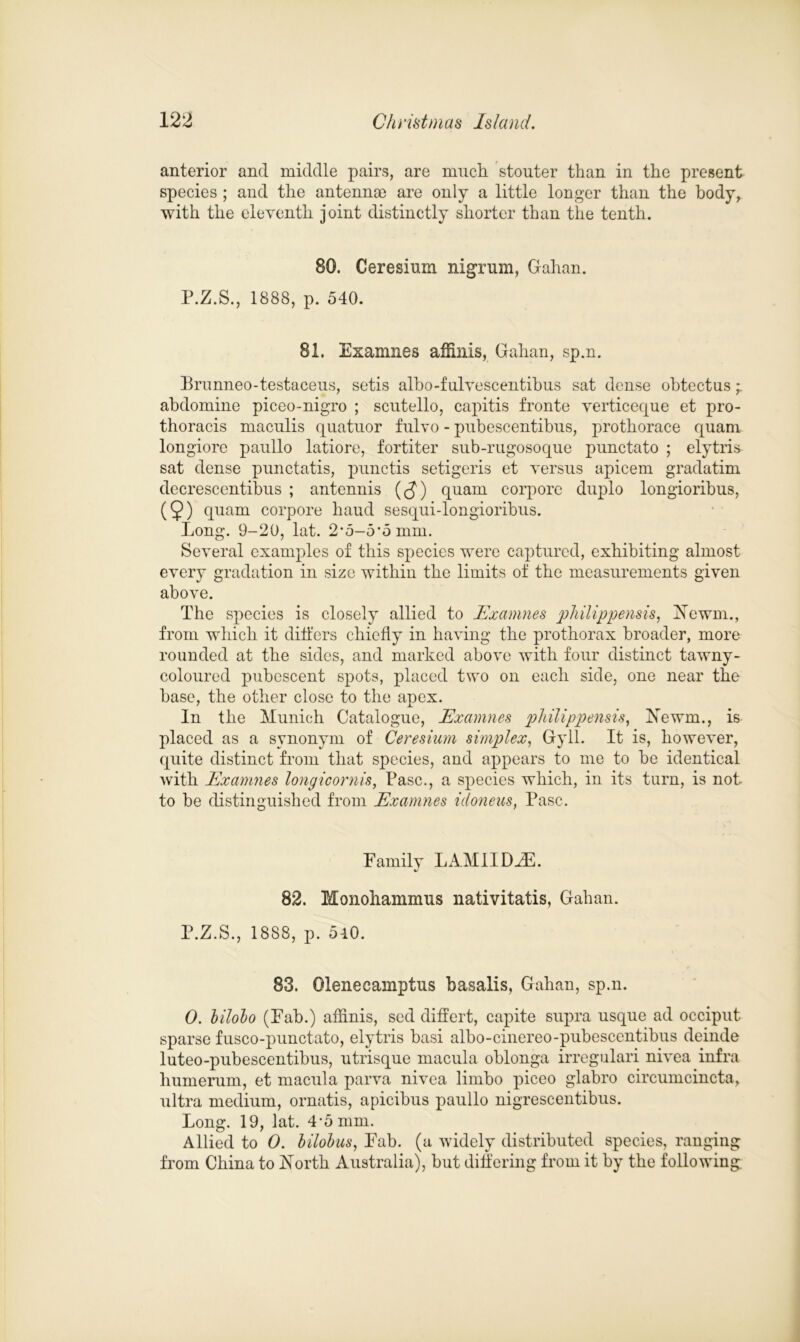 anterior and middle pairs, are much stouter than in the present species ; and the antennae are only a little longer than the body, with the eleventh joint distinctly shorter than the tenth. 80. Ceresium nigrum, Gahan. P.Z.S., 1888, p. 540. 81. Examnes affinis, Gahan, sp.n. Brunneo-testaceus, setis albo-fulvescentibus sat dense ohtectus * abdomine piceo-nigro ; scutello, capitis fronte verticeque et pro- thoracis maculis quatuor fulvo - pubescentibus, prothoraee quam longiorc paullo latiore, fortiter sub-rugosoque punctato ; elytris sat dense punctatis, punctis setigeris et versus apicem gradatim decrescentibus ; antennis (<J) quam corpore duplo longioribus, (9) quam corpore baud sesqui-longioribus. Long. 9-20, lat. 2,5-5*5mm. Several examples of this species were captured, exhibiting almost every gradation in size within the limits of the measurements given above. The species is closely allied to Examnes philippensis, Newm., from which it differs chiefly in having the prothorax broader, more rounded at the sides, and marked above with four distinct tawny- coloured pubescent spots, placed two on each side, one near the base, the other close to the apex. In the Munich Catalogue, Examnes philippensis, ]Srewm., is placed as a synonym of Ceresium simplex, Gyll. It is, however, quite distinct from that species, and appears to me to he identical with Examnes longicornis, Base., a species which, in its turn, is not to be distinguished from Examnes idoneus, Pasc. Family LAMIIDZE. 82. Monohammus nativitatis, Gahan. P.Z.S., 1888, p. 540. 83. Oleneeamptus basalis, Gahan, sp.n. 0. bilobo (Fab.) afflnis, sed differt, capite supra usque ad occiput sparse fusco-punctato, elytris basi albo-cinereo-pubescentibus deinde luteo-pubescentibus, utrisque macula oblonga irregulari nivea infra humerum, et macula parva nivea limbo piceo glabro circumcincta, ultra medium, ornatis, apicibus paullo nigrescentibus. Long. 19, lat. 4*5 mm. Allied to 0. bilobus, Fab. (a widely distributed species, ranging from China to North Australia), but differing from it by the following