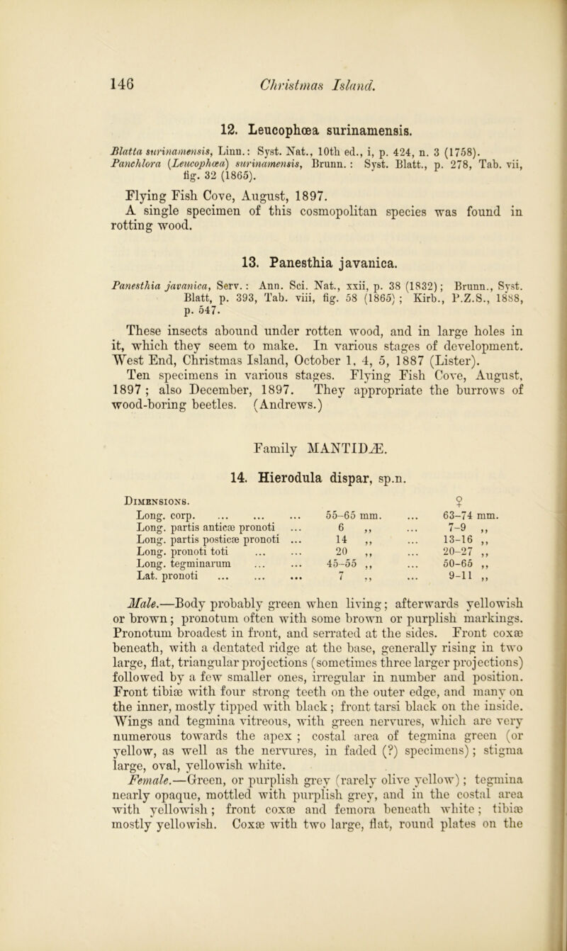 12. Leucophcea surinamensis. Blatta surinamensis, Linn.: Syst. Nat., 10th ed., i, p. 424, n. 3 (1758). Panchlora (Leucophcea) surinamensis, Brunn. : Syst. Blatt., p. 278, Tab. vii, fig. 32 (1865). Flying Fish Cove, August, 1897. A single specimen of this cosmopolitan species was found in rotting wood. 13. Panesthia javanica. Panesthia javanica, Serv.: Ann. Sci. Nat., xxii, p. 38 (1832); Brunn., Syst. Blatt, p. 393, Tab. viii, fig. 58 (1865) ; Kirb., P.Z.S., 1888, p. 547. These insects abound under rotten wood, and in large holes in it, which they seem to make. In various stages of development. West End, Christmas Island, October 1, 4, 5, 1887 (Lister). Ten specimens in various stages. Flying Fish Cove, August, 1897 ; also December, 1897. They appropriate the burrows of wood-boring beetles. (Andrews.) Family MANTIDiE. 14. Hierodula dispar, sp.n. Dimensions. Long, corp Long, partis anticao pronoti Long, partis posticie pronoti Long, pronoti toti Long, tegminarum Lat. pronoti $ 55-65 mm. 63-74 mm 6 „ 7-9 „ 14 „ 13-16 ,, 20 „ 20-27 ,, 45-55 ,, 50-65 ,, 9-11 „ Male.—Body probably green when living; afterwards yellowish or brown; pronotum often with some brown or purplish markings. Pronotum broadest in front, and serrated at the sides. Front coxae beneath, with a dentated ridge at the base, generally rising in two large, flat, triangular projections (sometimes three larger projections) followed by a few smaller ones, irregular in number and position. Front tibiae with four strong teeth on the outer edge, and many on the inner, mostly tipped with black ; front tarsi black on the inside. Wings and tegmina vitreous, with green nervures, which are very numerous towards the apex ; costal area of tegmina green (or yellow, as well as the nervures, in faded (?) specimens); stigma large, oval, yellowish white. Female.—Green, or purplish grey (rarely olive yellow); tegmina nearly opaque, mottled with purplish grey, and in the costal area with yellowish; front coxae and femora beneath white; tibiae mostly yellowish. Coxae with two large, flat, round plates on the