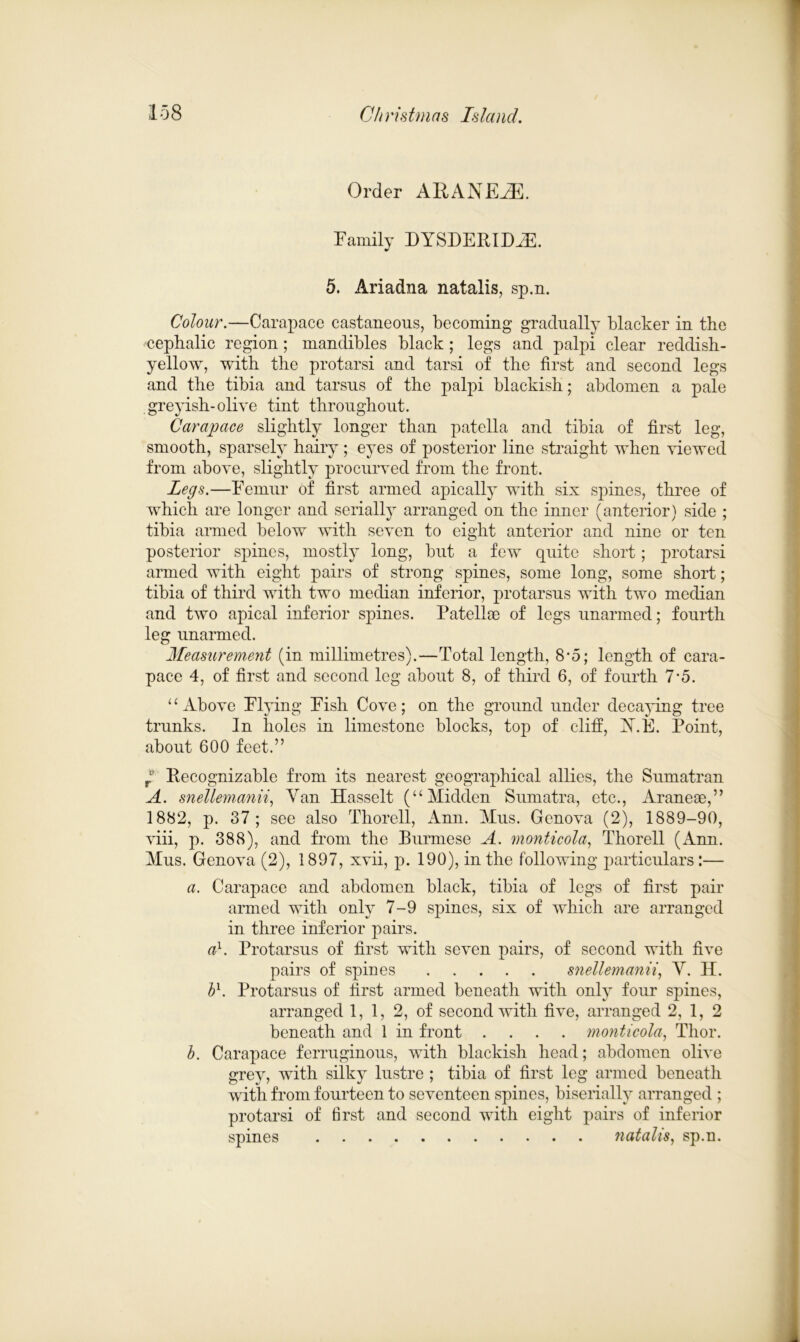 Order ARANEiE. Family DYSDER1DAE. 5. Ariadna natalis, sp.n. Colour.—Carapace castaneous, becoming gradually blacker in the cephalic region; mandibles black; legs and palpi clear reddish- yellow, with the protarsi and tarsi of the first and second legs and the tibia and tarsus of the palpi blackish; abdomen a pale greyish-olive tint throughout. Carapace slightly longer than patella and tibia of first leg, smooth, sparsely hairy ; eyes of posterior line straight when viewed from above, slightly procurved from the front. Legs.—Femur of first armed apically with six spines, three of which are longer and serially arranged on the inner (anterior) side ; tibia armed below with seven to eight anterior and nine or ten posterior spines, mostly long, but a few quite short; protarsi armed with eight pairs of strong spines, some long, some short; tibia of third with two median inferior, protarsus with two median and two apical inferior spines. Patellae of legs unarmed; fourth leg unarmed. Measurement (in millimetres).—Total length, 8*5; length of cara- pace 4, of first and second leg about 8, of third 6, of fourth 7-5. “Above Flying Fish Cove; on the ground under decaying tree trunks. In holes in limestone blocks, top of cliff, Y.E. Point, about 600 feet.” Recognizable from its nearest geographical allies, the Sumatran A. snellemanii, Van Hasselt (“Midden Sumatra, etc., Araneae,” 1882, p. 37; see also Thorell, Ann. Mus. Genova (2), 1889-90, viii, p. 388), and from the Burmese A. monticola, Thorell (Ann. Mus. Genova (2), 1897, xvii, p. 190), in the following particulars:— a. Carapace and abdomen black, tibia of legs of first pair armed with only 7-9 spines, six of which are arranged in three inferior pairs. a}. Protarsus of first with seven pairs, of second with five pairs of spines snellemanii, Y. H. hx. Protarsus of first armed beneath with only four spines, arranged 1, 1, 2, of second with five, arranged 2, 1, 2 beneath and 1 in front .... monticola, Thor. b. Carapace ferruginous, with blackish head; abdomen olive grey, with silky lustre ; tibia of first leg armed beneath with from fourteen to seventeen spines, biserially arranged ; protarsi of first and second with eight pairs of inferior spines natalis, sp.n.