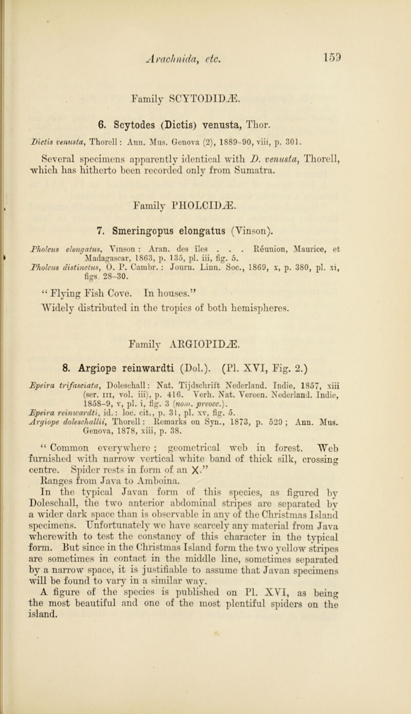 Family SCVTODID.E. 6. Scytodes (Dictis) venusta, Thor. Dictis venusta, Thorell: Ann. Mus. Genova, (2), 1889-90, viii, p. 301. Several specimens apparently identical with D. venusta, Thorell, which has hitherto been recorded only from Sumatra. Family PHOLCIDiE. 7. Smeringopus elongatus (Vinson). Eholcus elongatus, Vinson : Aran, des lies . . . Reunion, Maurice, et Madagascar, 1863, p. 135, pi. iii, fig. 5. Eholcus distinctas, 0. P. Cambr. : Journ. Linn. Soc., 1869, x, p. 380, pi. xi, figs, 28-30. “ Flying Fish Cove. In houses.” Widely distributed in the tropics of both hemispheres. Family APGIOPID^E. 8. Argiope reinwardti (Dol.). (IT. XVI, Fig. 2.) Epeira trifasciata, Dolesehall: Nat. Tijdschrift Nederland. Indie, 1857, xiii (ser. iii, vol. iii), p. 416. Verb. Nat. Vereen. Nederland. Indie, 1858-9, v, pi. i, fig. 3 (noin. prcocc.). Epeira reinwardti, id.: loc. cit., p. 31, pi. xv, fig. 5. Argiope doleschallii, Thorell: Remarks on Syn., 1873, p. 520 ; Ann. Mus. Genova, 1878, xiii, p. 38. “ Common everywhere ; geometrical web in forest. Web furnished with narrow vertical white band of thick silk, crossing centre. Spider rests in form of an X” Ranges from Java to Amboina. In the typical Javan form of this species, as figured by Doloschall, the two anterior abdominal stripes are separated by a wider dark space than is observable in any of the Christmas Island specimens. Unfortunately we have scarcely any' material from Java wherewith to test the constancy of this character in the typical form. Rut since in the Christmas Island form the two yellow stripes are sometimes in contact in the middle line, sometimes separated by a narrow space, it is justifiable to assume that Javan specimens will be found to vary in a similar way. A figure of the species is published on PL XVI, as being the most beautiful and one of the most plentiful spiders on the island.