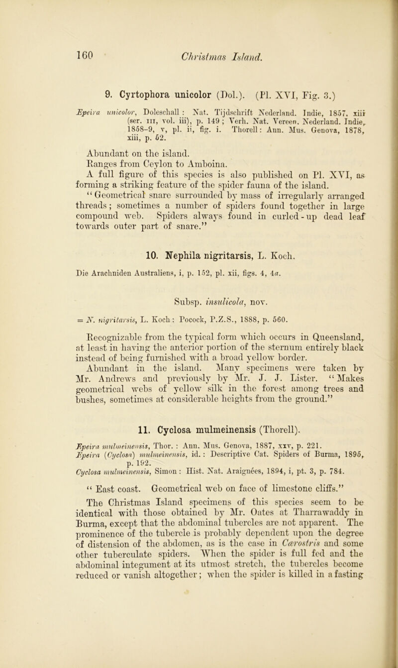 9. Cyrtophora unicolor (Dol.). (PL XVI, Fig. 3.) Epeira unicolor, Doleschall : Nat. Tijclsclirift Nederland. Indie, 1857, xiir (ser. hi, vol. iii), p. 149 ; Verh. Nat. Vereen. Nederland. Indier 1858-9, v, pi. ii, fig. i. Thorell: Ann. Mus. Genova, 1878, xiii, p. 62. Abundant on the island. Ranges from Ceylon to Amboina. A full figure of this species is also published on PI. XVI, as forming a striking feature of the spider fauna of the island. “Geometrical snare surrounded by mass of irregularly arranged threads; sometimes a number of spiders found together in large compound web. Spiders always found in curled - up dead leaf towards outer part of snare.” 10. Nephila nigritarsis, L. Koch. Die Arachniden Australiens, i, p. 152, pi. xii, figs. 4, 4a. Subsp. insulicola, nov. = A”, nigritarsis, L. Koch: Pocock, P.Z.S., 1888, p. 560. Recognizable from the typical form which occurs in Queensland,, at least in having the anterior portion of the sternum entirely black instead of being furnished with a broad yellow border. Abundant in the island. Many specimens were taken by Mr. Andrews and previously by Mr. J. J. Lister. “Makes geometrical webs of yellow silk in the forest among trees and bushes, sometimes at considerable heights from the ground.” 11. Cyclosa mulmeinensis (Thorell). Epeira mulmeinensis, Thor. : Ann. Mils. Genova, 1887, xxv, p. 221. Epeira (Cyclosa) mulmeinensis, id. : Descriptive Cat. Spiders of Burma, 1895, p. 192. Cyclosa mulmeinensis, Simon : Hist. Nat. Araignees, 1894, i, pt. 3, p. 784. “ East coast. Geometrical web on face of limestone cliffs.” The Christmas Island specimens of this species seem to be identical with those obtained by Mr. Oates at Tharrawaddy in Rurma, except that the abdominal tubercles are not apparent. The prominence of the tubercle is probably dependent upon the degree of distension of the abdomen, as is the case in Ccerostris and some other tuberculate spiders. When the spider is full fed and the abdominal integument at its utmost stretch, the tubercles become reduced or vanish altogether; when the spider is killed in a fasting