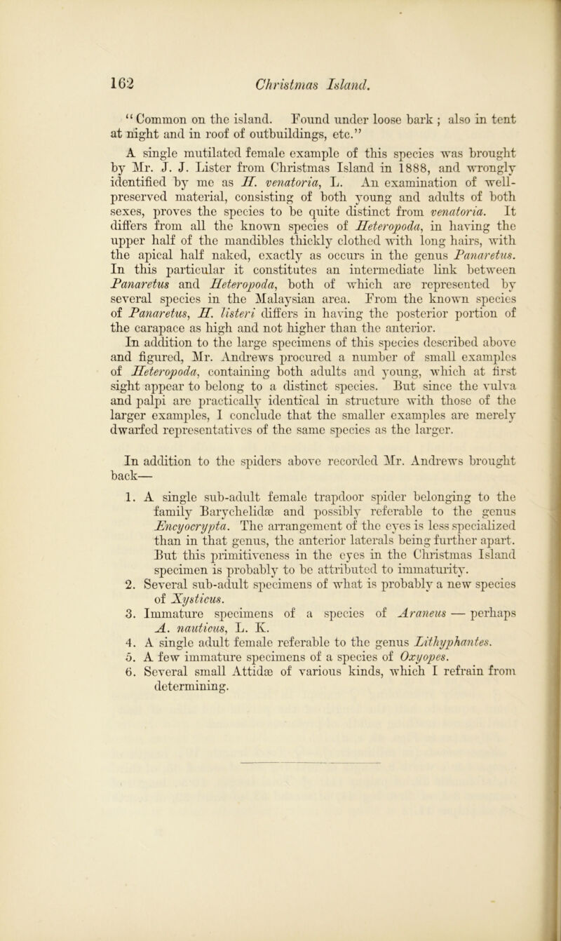 “ Common on the island. Found under loose bark ; also in tent at night and in roof of outbuildings, etc.” A single mutilated female example of this species was brought by Mr. J. J. Lister from Christmas Island in 1888, and wrongly identified by me as H. venatoria, L. An examination of well- preserved material, consisting of both young and adults of both sexes, proves the species to be quite distinct from venatoria. It differs from all the known species of Heteropoda, in having the upper half of the mandibles thickly clothed with long hairs, with the apical half naked, exactly as occurs in the genus Panaretas. In this particular it constitutes an intermediate link between Panaretus and Heteropoda, both of which are represented by several species in the Malaysian area. From the known species of Panaretus, H. listeri differs in having the posterior portion of the carapace as high and not higher than the anterior. In addition to the large specimens of this species described above and figured, Mr. Andrews procured a number of small examples of Heteropoda, containing both adults and young, which at first sight appear to belong to a distinct species. But since the vulva and palpi are practically identical in structure with those of the larger examples, I conclude that the smaller examples are merely dwarfed representatives of the same species as the larger. In addition to the spiders above recorded Mr. Andrews brought back— 1. A single sub-adult female trapdoor spider belonging to the family Barychelidae and possibly referable to the genus Hncyocrypta. The arrangement of the eyes is less specialized than in that genus, the anterior laterals being further apart. But this primitiveness in the eyes in the Christmas Island specimen is probably to be attributed to immaturity. 2. Several sub-adult specimens of what is probably a new species of Xysticus. 3. Immature specimens of a species of Araneus — perhaps A. nauticus, L. K. 4. A single adult female referable to the genus Pithyphantes. 5. A few immature specimens of a species of Oxyopes. 6. Several small Attidoe of various kinds, which I refrain from determining.
