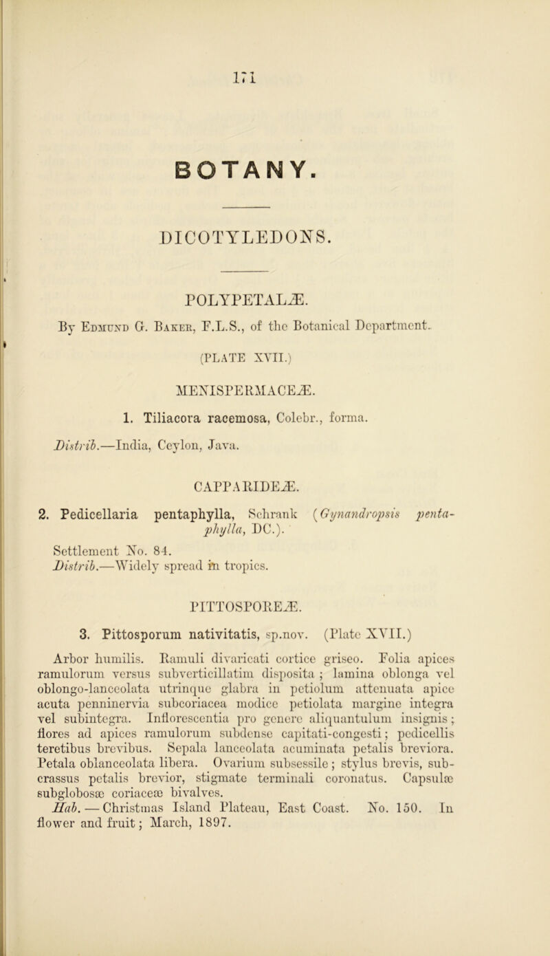 i;i BOTANY. DICOTYLEDONS. POLYPETAL2E. By Edmund C. Baker, E.L.S., of the Botanical Department. (PLATE XVII.) MENISPERMACEAL 1. Tiliacora racemosa, Colebr., forma. Didrib.—India, Ceylon, Java. CAPPARIDEiE. 2. Pedicellaria pentaphylla, Schrank (Gynandropsis penta pliylla, DC.). Settlement Xo. 84. Distrib.—Widely spread in tropics. PIT T 0 S P 0 It E M. 3. Pittosporum nativitatis, sp.nov. (Plate XVII.) Arbor Immilis. Hamuli divaricati cortice griseo. Eolia apices ramulorum versus subverticillatim disposita ; lamina oblonga vel oblongo-lanceolata utrinque glabra in petiolum attenuata apice acuta penninervia subcoriacea modice ])ctiolata margine integra vel subintegra. Inflorescentia pro genere aliquantulum insignis; flores ad apices ramulorum subdense capitati-congesti; pedicellis teretibus brevibus. Sepala lanceolata acuminata petalis breviora. Petala oblanceolata libera. Ovarium subsessile ; stylus brevis, sub- crassus petalis brevior, stigmate terminali coronatus. Capsulro subglobosm coriaceoe bivalves. Hal). — Christmas Island Plateau, East Coast. Xo. 150. In flower and fruit; March, 1897.