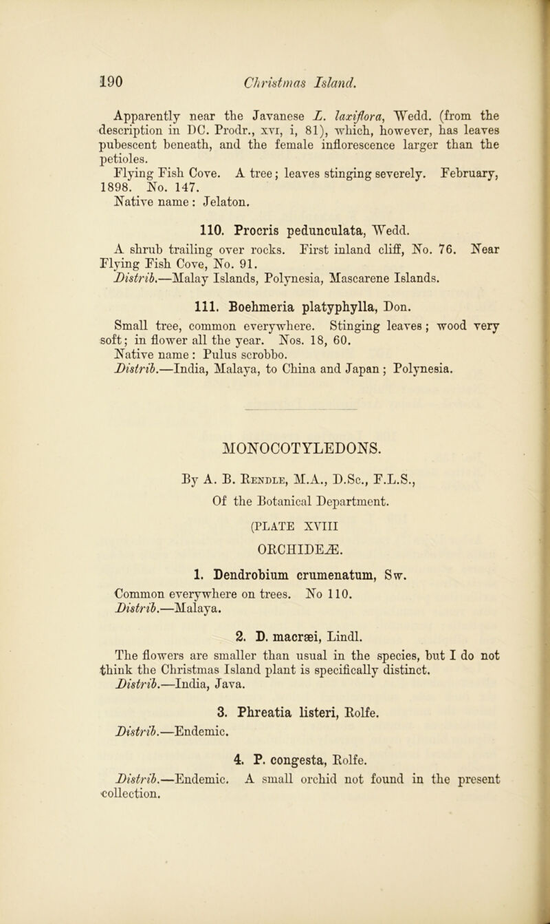 Apparently near the Javanese L. laxijlora, Wedd. (from the description in DC. Prodr., xvi, i, 81), which, however, has leaves pubescent beneath, and the female inflorescence larger than the petioles. Plying Pish Cove. A tree; leaves stinging severely. Pehruary, 1898. No. 147. Native name: Jelaton. 110. Procris pedunculata, Wedd. A shrub trailing over rocks. Pirst inland cliff, No. 76. Near Plying Pish Cove, No. 91. Distrib.—Malay Islands, Polynesia, Mascarene Islands. 111. Boehmeria platyphylla, Don. Small tree, common everywhere. Stinging leaves ; wood very soft; in flower all the year. Nos. 18, 60. Native name : Pulus scrobbo. Distrib.—India, Malaya, to China and Japan ; Polynesia. MONOCOTYLEDONS. By A. B. Rendle, M.A., D.Sc., P.L.S., Of the Botanical Department. (PLATE XVIII ORCHIDEiE. 1. Dendrobium crumenatum, Sw. Common everywhere on trees. No 110. Distrib.—Malaya. 2. D. macraei, Lindl. The flowers are smaller than usual in the species, but I do not think the Christmas Island plant is specifically distinct. Distrib.—India, Java. 3. Phreatia listeri, Rolfe. Distrib.—Endemic. 4. P. congesta, Rolfe. Distrib.—Endemic. A small orchid not found in the present 'Collection.