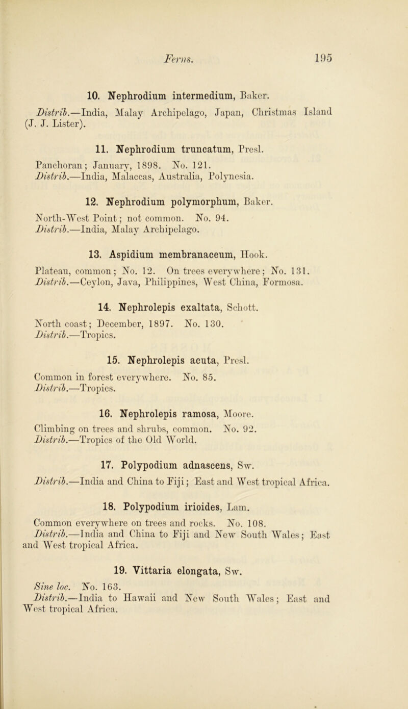 10. Nephrodium intermedium, Baker. Distrib.—India, Malay Archipelago, Japan, Christmas Island (J. J. Lister). 11. Nephrodium truncatum, Presl. Fanchoran; January, 1898. No. 121. Distrib.—India, Malaccas, Australia, Polynesia. 12. Nephrodium polymorphum, Baker. North-West Point; not common. No. 94. Distrib.—India, Malay Archipelago. 13. Aspidium membranaceum, Hook. Plateau, common; No. 12. On trees everywhere; No. 131. Distrib.—Ceylon, Java, Philippines, West China, Formosa. 14. Nephrolepis exaltata, Schott. North coast; December, 1897. No. 130. Distrib.—Tropics. 15. Nephrolepis acuta, Fresl. Common in forest everywhere. No. 85. Distrib.—T ropics. 16. Nephrolepis ramosa, Moore. Climbing on trees and shrubs, common. No. 92. Distrib.—Tropics of the Old World. 17. Polypodium adnascens, Sw. Distrib.—India and China to Fiji; East and West tropical Africa. 18. Polypodium irioides, Lam. Common everywhere on trees and rocks. No. 108. Distrib.—India and China to Fiji and New South Wales; East and Wrest tropical Africa. 19. Vittaria elongata, Sw. Sine loc. No. 163. Distrib.—India to Hawaii and New South Wales; East and West tropical Africa.