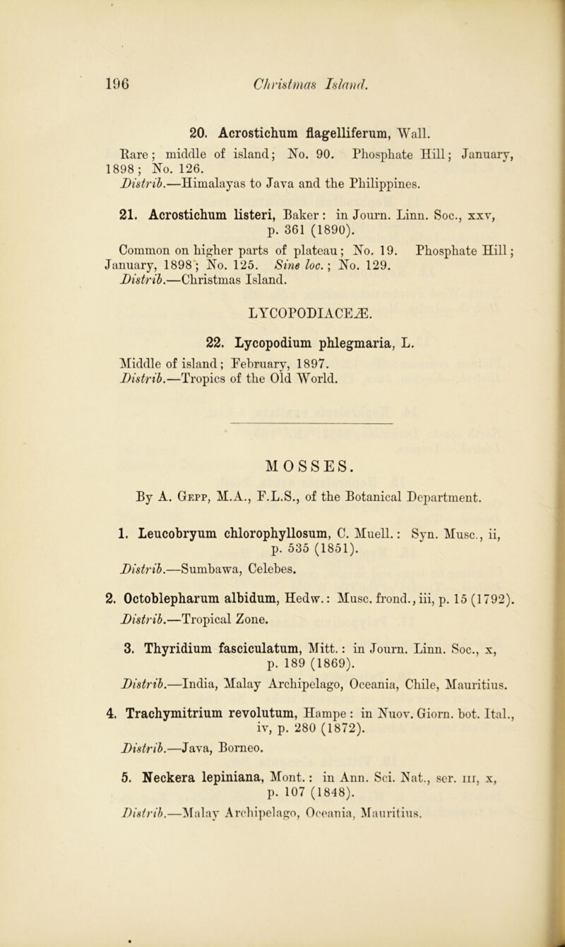 20. Acrostichum flagelliferum, Wall. Bare; middle of island; No. 90. Phosphate Hill; January, 1898; No. 126. Distrih.—Himalayas to Java and the Philippines. 21. Acrostichum listen, Baker: in Journ. Linn. Soc., xxv, p. 361 (1890). Common on higher parts of plateau; No. 19. Phosphate Hill; January, 1898; No. 125. Sineloc.; No. 129. Distrih.—Christmas Island. LYCOPODIACEiE. 22. Lycopodium phlegmaria, L. Middle of island; February, 1897. Distrih.—Tropics of the Old World. MOSSES. By A. Gepp, M.A., P.L.S., of the Botanical Department. 1. Leucobryum chlorophyllosum, C. Muell.: Syn. Muse., ii, p. 535 (1851). Distrih.—Sumbawa, Celebes. 2. Octoblepharum albidum, Hedw.: Muse, frond., iii, p. 15 (1792). Distrih.—Tropical Zone. 3. Thyridium fasciculatum, Mitt.: in Journ. Linn. Soc., x, p. 189 (1869). Distrih.—India, Malay Archipelago, Oceania, Chile, Mauritius. 4. Trachymitrium revolutum, Hampe : in Nuov. Giorn. hot. Ital., iv, p. 280 (1872). Distrih.—Java, Borneo. 5. Neckera lepiniana, Mont.: in Ann. Sci. Nat., scr. nr, x, p. 107 (1848). Distrih.—Malay Archipelago, Oceania, Mauritius.