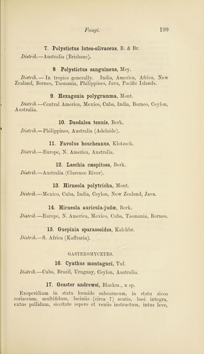 7. Polystictus luteo-olivaceus, B. & Br. I)is tr ib.—A ustralia (B risbane). 8 Polystictus sanguineus, Hey. Fistrib. — In tropics generally. India, America, Africa, Hew Zealand, Borneo, Tasmania, Philippines, Java, Pacific Islands. 9. Hexagonia polygramma, Mont. Fistrib.—Central America, Mexico, Cuba, India, Borneo, Ceylon, Australia. 10. Daedalea tenuis, Berk. Fistrib.—Philippines, Australia (Adelaide). 11. Favolus boucheanus, Klotzsch. Fistrib.—Europe, H. America, Australia. 12. Laschia caespitosa, Berk. Fistrib.—Australia (Clarence River). 13. Hirneola polytricha, Mont. Fistrib.—Mexico, Cuba, India, Ceylon, Hew Zealand, Java. 14. Hirneola auricula-judae, Berk. Fistrib.—Europe, H. America, Mexico, Cuba, Tasmania, Borneo. 15. Guepinia sparassoides, Kalchbr. Fistrib.—S. Africa (Kaffraria). GASTEROMYCETES. 16. Cyathus montagnei, Tul. Fistrib.—Cuba, Brazil, Uruguay, Ceylon, Australia. 17. Geaster andrewsi, Blackm., n sp. Exoperidium in statu humido subcarneum, in statu sicco coriaceum, multifidum, laciniis (circa 7) acutis, basi Integra, extus pallidum, siccitate aspero et veniis instructum, intus leve,
