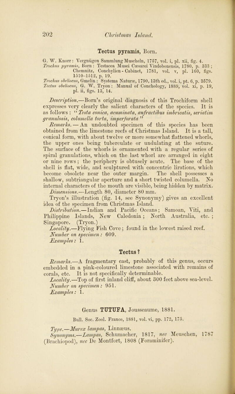 Tectus pyramis, Born. G. AY. Knorr: Yergniigen Sammlung Muscheln, 1757, vol. i, pi. xii, fig. 4. Trochus pyramis, Born: Testacea Musei Caesarei Vindobonensis, 1780, p. 333; Chemnitz, Conchylien - Cabinet, 1781, vol. v, pi. 160, figs. 1510-1512, p. 19. Trochus obeliscus, Gmelin : Systema Naturae, 1790, 13th ed., vol. i, pt. 6, p. 3579. Tectus obeliscus, G. AY. Tryon : Manual of Conchology, 1889, vol. xi, p. 19, pi. ii, figs. 13, 14. Description.—Born’s original diagnosis of this Trochiform shell expresses very clearly the salient characters of the species. It is as follows : u Testa conica, acuminata, anfractibus imbricatis, seriatim granulosis, columella torta, imperforata ” Remarks. — An undoubted specimen of this species has been obtained from the limestone reefs of Christmas Island. It is a tall, conical form, with about twelve or more somewhat flattened whorls, the upper ones being tuberculate or undulating at the suture. The surface of the whorls is ornamented with a regular series of spiral granulations, which on the last whorl are arranged in eight or nine rows ; the periphery is obtusely acute. The base of the shell is flat, wide, and sculptured with concentric lirations, which become obsolete near the outer margin. The shell possesses a shallow, subtriangular aperture and a short twisted columella. Ho internal characters of the mouth are visible, being hidden by matrix. Dimensions.—Length 80, diameter 80 mm. Tryon’s illustration (fig. 14, see Synonymy) gives an excellent idea of the specimen from Christmas Island. Distribution.—Indian and Pacific Oceans; Samoan, Yiti, and Philippine Islands, Hew Caledonia ; Horth Australia, etc. ; Singapore. (Tryon.) Locality.—Flying Fish Cove; found in the lowest raised reef. Number on specimen : 609. Examples: 1. Tectus ? Remarks.—A fragmentary cast, probably of this genus, occurs embedded in a pink-coloured limestone associated with remains of corals, etc. It is not specifically determinable. Locality.—Top of first inland cliff, about 300 feet above sea-level. Number on specimen: 951. Examples: 1. Genus TUTTJFA, Jousseaume, 1881. Bull. Soc. Zool. France, 1881, vol. vi, pp. 172, 175. Type.—Mur ex lampas, Linnaeus. Synonyms.—Lampas, Schumacher, 1817, nee Meuschen, 1787 (Brachiopod), nee De Montfort, 1808 (Foraminifer).