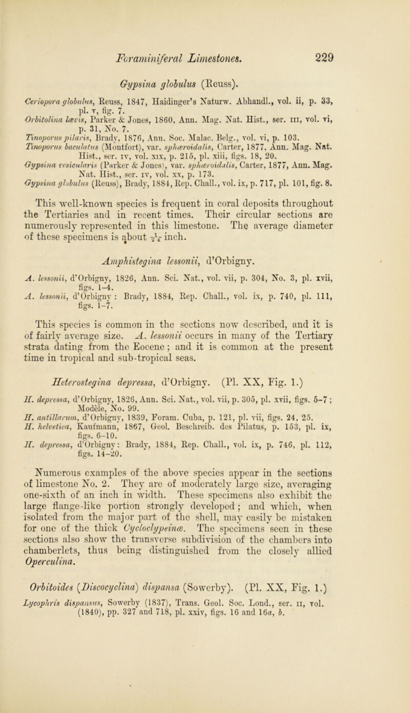 Gypsina globulus (Reuss). Ceriopora globulus, Reuss, 1847, Haidinger’s Naturw. Abhandl., vol. ii, p. 33, pi. v, fig. 7. Orbitolina Icevis, Parker & Jones, 1860. Ann. Mag. Nat. Hist., ser. in, vol. vi, p. 31, No. 7. Tinoporuspilaris, Brady, 1876, Ann. Soc. Malac. Belg., vol. vi, p. 103. Tinoporus baculatus (Montfort), var. spheeroidalis, Carter, 1877, Ann. Mag. Nat. Hist., ser. iv, vol. xix, p. 215, pi. xiii, figs. 18, 20. Gypsina vesicularis (Parker & Jones), var. sphceroidalis, Carter, 1877, Ann. Mag. Nat. Hist., ser. iv, vol. xx, p. 173. Gypsina globulus (Reuss), Brady, 1884, Rep. Chalk, vol. ix, p. 717, pi. 101, fig. 8. This well-known species is frequent in coral deposits throughout the Tertiaries and in recent times. Their circular sections are numerously represented in this limestone. The average diameter of these specimens is about inch. Amphistegina lessonii, d’Orbigny. A. lessonii, d'Orbigny, 1826, Ann. Sci. Nat., vol. vii, p. 304, No. 3, pi. xvii, figs. 1-4. A. lessonii, d’Orbigny : Brady, 1884, Rep. Chalk, vol. ix, p. 740, pi. 111, figs. 1-7. This species is common in the sections now described, and it is of fairly average size. A. lessonii occurs in many of the Tertiary strata dating from the Eocene ; and it is common at the present time in tropical and sub-tropical seas. Ucterostegina depressa, d’Orbigny. (PI. XX, Fig. 1.) II. depressa, d’Orbigny, 1826, Ann. Sci. Nat., vol. vii, p. 305, ph xvii, figs. 6-7 ; Modele, No. 99. II. antillarum, d’Orbigny, 1839, Foram. Cuba, p. 121, pi. vii, figs. 24, 25. H. lielvetica, Kaufmanu, 1867, Geok Beschreib. des Pilatus, p. 153, pi. ix, figs. 6-10. II. depressa, d’Orbigny: Brady, 1884, Rep. Chalk, vol. ix, p. 746, pi. 112, figs. 14-20. Xumerous examples of the above species appear in the sections of limestone No. 2. They are of moderately large size, averaging one-sixtb of an inch in width. These specimens also exhibit the large flange-like portion strongly developed ; and which, when isolated from the major part of the shell, may easily be mistaken for one of the thick Cycloclypeincd. The specimens seen in these sections also show the transverse subdivision of the chambers into ehambcrlets, thus being distinguished from the closely allied Operculina. Orbitoides (Discocyclina) dispansa (Sowerby). (PI. XX, Fig. 1.) Lycophris dispansns, Sowerby (1837), Trans. Geok Soc. Loud., ser. ii, vol. (1840), pp. 327 and 718, pk xxiv, figs. 16 and 16a, b.