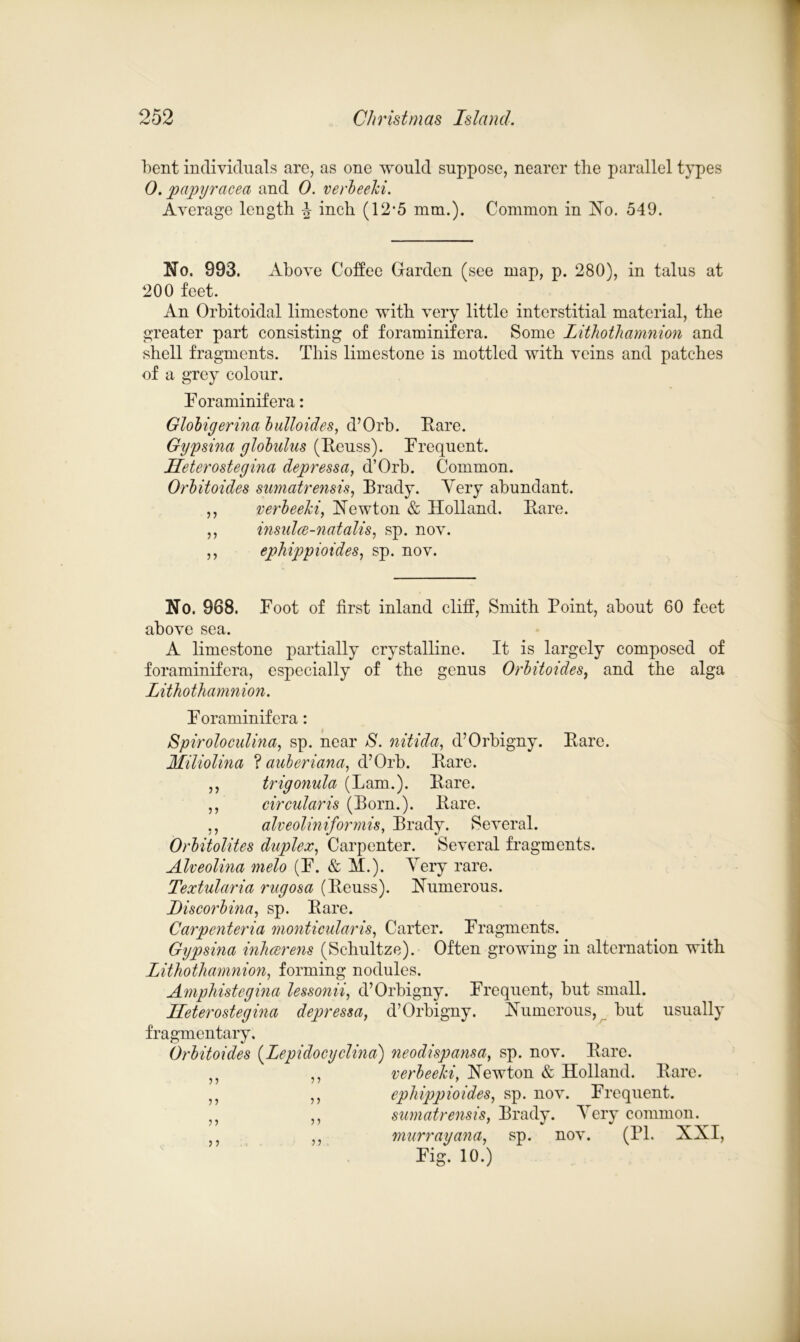 bent individuals are, as one would suppose, nearer the parallel types 0. papyracea and 0. verbeeki. Average length \ inch (12*5 mm.). Common in No. 549. No. 993. Above Coffee Garden (see map, p. 280), in talus at 200 feet. An Orbitoidal limestone with very little interstitial material, the greater part consisting of foraminifera. Some Lithothamnion and shell fragments. This limestone is mottled with veins and patches of a grey colour. F oraminif era: Globigerina bulloides, d’Orb. Rare. Gypsina globulus (Reuss). Frequent. Heterostegina depressa, d’Orb. Common. Orbitoides sumatrensis, Brady. Yery abundant. ,, verbeeki, Newton & Holland. Rare. ,, insidce-natalis, sp. nov. ,, epliippioides, sp. nov. No. 968. Foot of first inland cliff, Smith Point, about 60 feet above sea. A limestone partially crystalline. It is largely composed of foraminifera, especially of the genus Orbitoides, and the alga Lithothamnion. F oraminif era: Spiroloculina, sp. near S. nitida, d’Orbigny. Rare. Hiliolina ? auberiana, d’Orb. Rare. ,, trigonula (Lam.). Rare. ,, circularis (Born.). Rare. ,, alveoliniformis, Brady. Several. Orbitolites duplex, Carpenter. Several fragments. Alveolina melo (F. & H.). Very rare. Textularia rugosa (Reuss). Numerous. Liscorbina, sp. Rare. Carpenteria monticularis, Carter. Fragments. Gypsma inheerens (Schultze). Often growing in alternation with Lithothamnion, forming nodules. Amphistcgina lessonii, d’Orbigny. Frequent, but small. Heterostegina depressa, d’Orbigny. Numerous, but usually fragmentary. Orbitoides (Lepidocyclina) neodispansa, sp. nov. Rare. n ,, verbeeki, Newton & Holland. Rare. „ ,, ephippioides, sp. nov. Frequent. „ ,, sumatrensis, Brady. Yery common. ,, ,, murrayana, sp. nov. (PI. XXI, Fig. 10.)