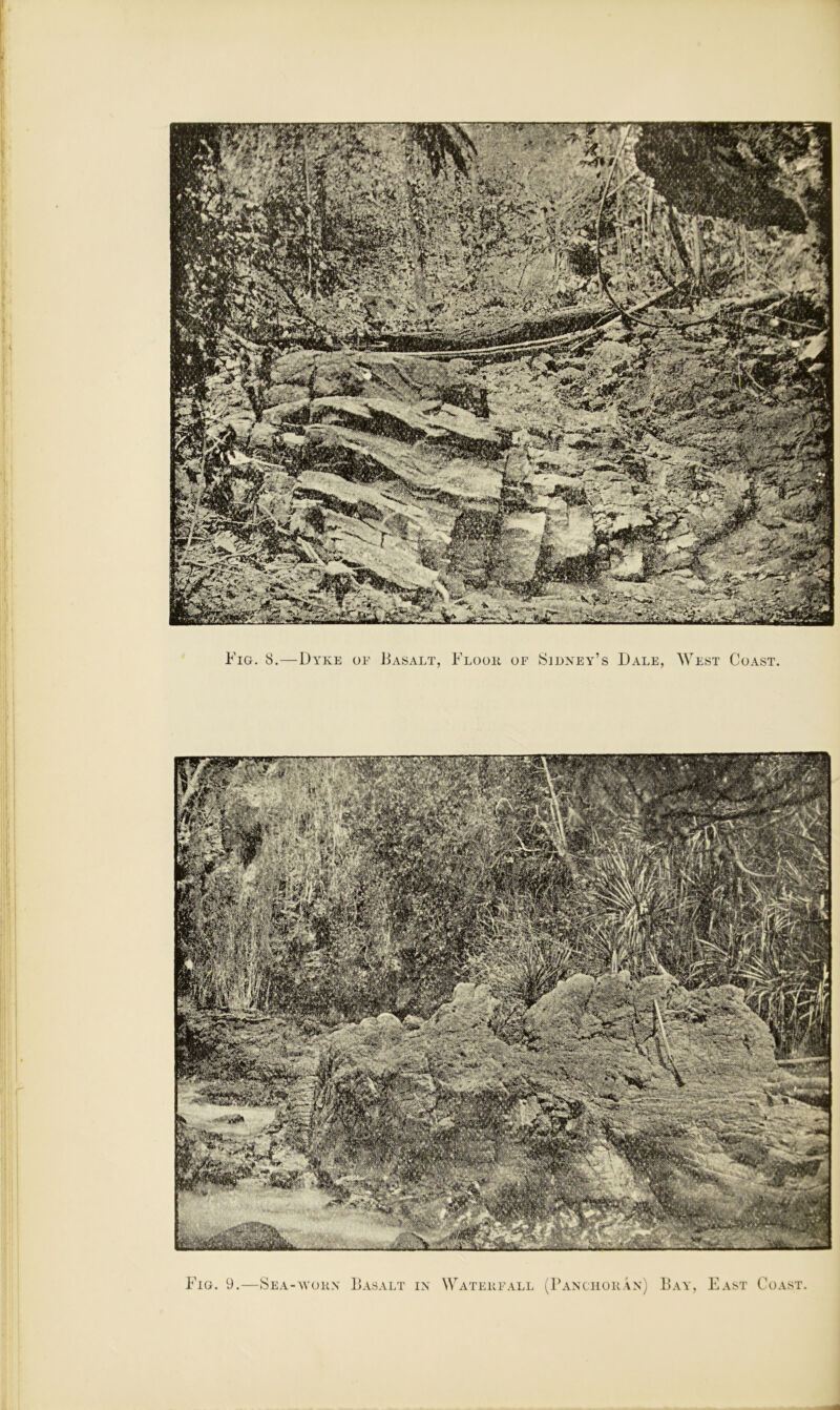 Fig. 8.—Dyke of Basalt, Floor of Sidney’s Dale, West Coast. mm Fig. 9.—Sea-worn Basalt in Waterfall (Panchoran) Bay, East Coast.