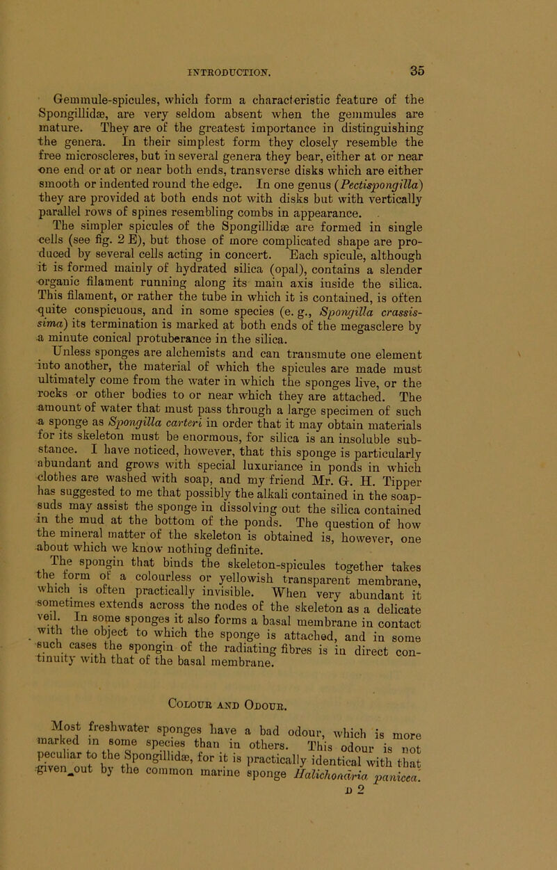 Gemmule-spicules, which form a characteristic feature of the Spongillidae, are very seldom absent when the gemmules are mature. They are of the greatest importance in distinguishing the genera. In their simplest form they closely resemble the free microscleres, but in several genera they bear, either at or near one end or at or near both ends, transverse disks which are either smooth or indented round the edge. In one genus {Pectispongilla) they are provided at both ends not with dis& but with vertically parallel rows of spines resembling combs in appearance. . The simpler spicules of the Spongillidae are formed in single ■cells (see fig. 2 E), but those of more complicated shape are pro- duced by several cells acting in concert. Bach spicule, although it is formed mainly of hydrated silica (opal), contains a slender organic filament running along its main axis inside the silica. This filament, or rather the tube in which it is contained, is often quite conspicuous, and in some species (e. g., Spongilla crassis- sima) its termination is marked at both ends of the megasclere by •a minute conical protuberance in the silica. Unless sponges are alchemists and can transmute one element into another, the material of which the spicules are made must ultimately come from the water in which the sponges live, or the rocks or other bodies to or near which they are attached. The amount of water that must pass through a large specimen of such a sponge as Spongilla carteri in order that it may obtain materials for its skeleton must be enormous, for silica is an insoluble sub- stance. I have noticed, however, that this sponge is particularly abundant and grows with special luxuriance in ponds in which clothes are washed with soap, and my friend Mr. G. H. Tipper has suggested to me that possibly the alkali contained in the soap- suds may assist the sponge in dissolving out the sihca contained in the mud at the bottom of the ponds. The question of how the mineral matter of the skeleton is obtained is, however, one about which we know nothing definite. The spongin that binds the skeleton-spicnles together takes the form of a colourless or yellowish transparent membrane, which IS often practically invisible. When very abundant it sometimes extends across the nodes of the skeleton as a delicate sponges it also forms a basal membrane in contact _ with the object to which the sponge is attached, and in some such cases the spongin of the radiating fibres is in direct con- tinuitj with that of the basal membrane. Colour and Odour. Most freshwater sponges have a bad odour, which is more marked in some species than in others. This odour is nof peculiar to the Spongillidae, for it is practically identical with that •given^out by the common marine sponge Ilalichondria panieea.