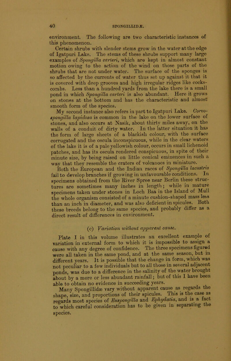 environment. The following are two characteristic instances of this phenomenon. Certain shrubs with slender stems grow in the water at the edge of Igatpuri Lake. The stems of these shrubs support many large examples of Spongilla carteri, which are kept in almost constant motion owing to the action of the wind on those parts of the shrubs that are not under water. The surface of the sponges is so affected by the currents of water thus set up against it that it is covered with deep grooves and high irregular ridges like cocks- combs. Less than a hundred yards from the lake there is a small pond in which Spoiigilla carteri is also abundant. Here it grows on stones at the bottom and has the characteristic and almost smooth form of the species. My second instance also refers in part to Igatpuri Lake, Corvo- spongilla lapidosa is common in the lake on the lower surface of stones, and also occurs at Nasik, about thirty miles away, on the walls of a conduit of dirty water. In the latter situation it has the form of large sheets of a blackish colour, with the surface corrugated and the oscula inconspicuous, while in the clear waters of the lake it is of a pale yellowish colour, occurs in small lichenoid patches, and has its oscula rendered conspicuous, in spite of their minute size, by being raised on little conical eminences in such a way that they resemble the craters of volcanoes in miniature. Both the European and the Indian races of Spongilla lacustris fail to develop branches if growing in unfavourable conditions. In specimens obtained from the Biver Spree near Berlin these struc- tures are sometimes many inches in length; while in mature specimens taken under stones in Loch Baa in the Island of Mull the whole organism consisted of a minute cushion-shaped mass less than an inch in diameter, and was also deficient in spicules. Both these breeds belong to the same species, and probably differ as a direct result of differences in environment. (c) Variation without apparent cause. Plate I in this volume illustrates an excellent example of variation in external form to which it is impossible to assign a cause with any degree of confidence. The three specimens figured were all taken in the same pond, and at the same season, but in different years. It is possible that the change in form, which was not peculiar to a few individuals but to all those in several adjacent ponds, was due to a difference in the salinity of the water brought about by a more or less abundant rainfall; but of this I have been able to obtain no evidence in succeeding years. Many Spongillidffi vary without apparent cause as regards the shape, size, and proportions of their spicules. This is the case as regards most species of Euspongilla and Ephydatia, and is a fact to which careful consideration has to be given in separating the species.
