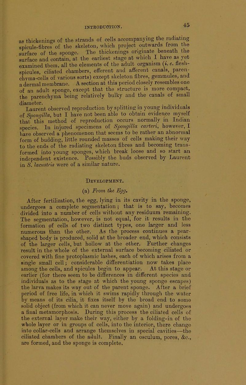 as thickenings o£ the strands of cells accompanying the radiating spicule-fibres of the skeleton, which project outwards from the surface of the sponge. The thickenings originate beneath the ' surface and contain, at the earliest stage at which 1 have as yet examined them, all the elements of the adult organism (t. flesh- spicules, ciliated chambers, efferent and afferent canals, paren- chyma-cells of various sorts) except skeleton fibres, gemmules, and a dermal membrane. A section at this period closely resembles one of an adult sponge, except that the structure is more compact, the parenchyma being relatively bulky and the canals of small diameter. Laurent observed reproduction by splitting in young individuals of Sponqilla, but I have not been able to obtain evidence myself that this method of reproduction occurs normally in Indian species. In injured specimens of Spongilla carteri, however, I have observed a phenomenon that seems to be rather an abnormal form of budding, little rounded masses of cells making their way to the ends of the radiating skeleton fibres and becoming trans- formed into young sponges, which break loose and so start an independent existence. Possibly the buds observed by Laurent in S. lacustris were of a similar nature. Development. (a) From the Egg. After fertilization, the egg, lying in its cavity in the sponge, undergoes a complete segmentation; that is to say, becomes divided into a number of cells without any residuum remaining. The segmentation, however, is not equal, for it results in the formation of cells of two distinct types, one larger and less numerous than the other. As the process continues a pear- shaped body is produced, solid at the broader end, which consists of the larger cells, but hollow at the other. Further changes result in the whole of the external surface becoming ciliated or covered with fine protoplasmic lashes, each of which arises from a single small cell; considerable differentiation now takes place among the cells, and spicules begin to appear. At this stage or earlier (for there seem to be differences in different species and individuals as to the stage at which the young sponge escapes) the larva makes its way out of the parent sponge. After a brief period of free life, in which it swims rapidly through the water by means of its cilia, it fixes itself by the broad end to some solid object (from which it can never move again) and undergoes a final metamorphosis. During this process the ciliated cells of the external layer make their way, either by a folding-in of the whole layer or in groups of cells, into the interior, there change into collar-cells and arrange themselves in special cavities—the ciliated chambers of the adult. Finally an osculum, pores, &c., are formed, and the sponge is complete.