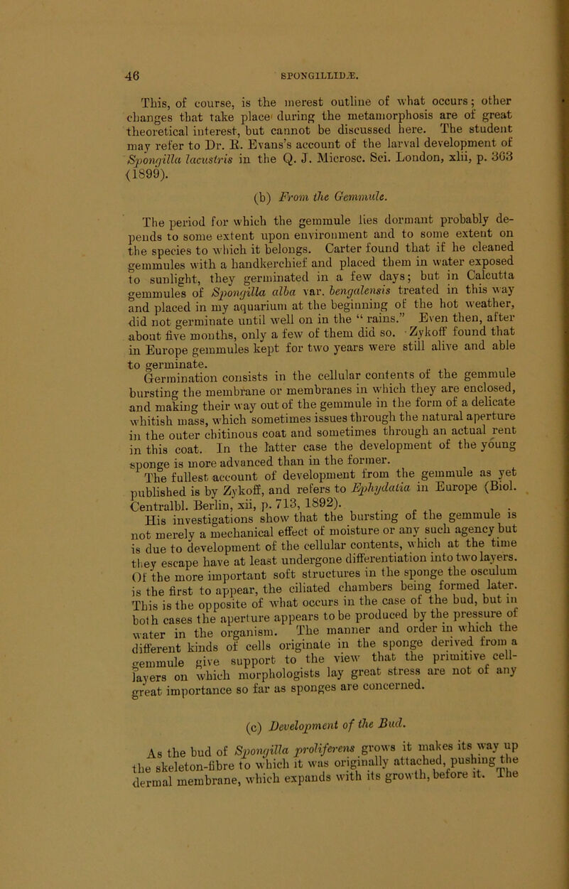 This, of course, is the merest outliue of what occurs; other changes that take place' during the metamorphosis are of great theoretical interest, but cannot be discussed here. The student may refer to Dr. E. Evaus’s account of the larval development of Sponfjilla lacusiris in the Q. J. Microsc. Sci. London, xlii, p. 303 <1899). <b) From (lie Gemmule. The period for which the gemmule lies dormant probably de- pends to some extent upon environment and to some extent on the species to which it belongs. Carter found that if he cleaned gemmules with a handkerchief and placed them in water exposed to sunlight, they germinated in a few days; but in Calcutta gemmules of SponQdlci cilbci var. beyiffcilensis treated in this v ay and placed in my aquarium at the beginning of the hot weather, did not germinate until well on in the rains. Even then, after about five mouths, only a few of them did so. Zykoff found that in Europe gemmules kept for two years were still alive and able to germinate. Germination consists in the cellular contents of the gemmule bursting the membrane or membranes in which they are enclosed, and making their way out of the gemmule in the form of a delicate whitish mass, which sometimes issues through the natural aperture in the outer chitinous coat and sometimes through an actual jent in this coat. In the latter case the development of the young sponge is more advanced than in the former. The fullest account of development from the gemmule as yet published is by Zykoff, and refers to Ephydaiia in Europe (Biol. Centralbl. Berlin, xii, p. 713, 1892). . , . His investigations show that the bursting of the gemmule is not merely a mechanical effect of moisture or any such agency but is due to development of the cellular contents, which at the time they escape have at least undergone diff'ereutiation into two layers. Of the more important soft structures in the sponge the osculum is the first to appear, the ciliated chambers being formed later. This is the opposite of what occurs in the case of the bud, but in both cases the aperture appears to be produced by the pressure of water in the organism. The manner and order in which the different kinds of cells originate in the sponp denved from a cemmule give support to the view that the primitive cell- layers on which morphologists lay great stress are not of any great importance so far as sponges are concerned. (c) Development of the Bud. As the bud of Sponcjilla grows it makes its way up the skeleton-fibre to which it was originally attached, pushing tie dermal membrane, which expands with its growth, before it. The