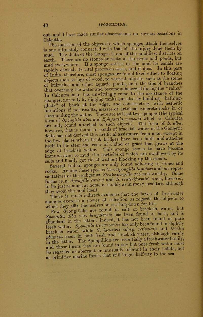 out, and I have made similar observations on several occasions in Calcutta. The question of the objects to which sponges attach themselves is one intimately connected with that of the injury done them by mud. The delta of the Ganges is one of the muddiest districts on earth. There are no stones or rocks in the rivers and ponds, but mud everywhere. If a sponge settles in the mud its canals are rapidly choked, its vital processes cease, and it dies. In this part of India, therefore, most sponges are found fixed either to floating objects such as logs of wood, to vertical objects such as the stems of bulrushes and other aquatic plants, or to the tips of branches that overhang the water and become submerged during the “rains.” In Calcutta man has unwittingly come to the assistance of the sponges, not only by digging tanks but also by building bathing- ghats” of brick at the edge, and constructing, with mstbetic intentions if not results, masses of artificial concrete rocks in or surrounding the water. There are at least two sponges (the^typical form of Spongilla alba and Egjhydatia meyeni) which in Calcutta are only found attached to such objects. The form oi 8. alba, however, that is found in ponds of brackish water in the Gangetic delta has not derived this artificial assistance from man, except in the few places where brick bridges have been built, and attaches itself to the stem and roots of a kind of grass that grows at the edge of brackish water. This sponge seems to have become immune even to mud, the particles of which are swallowed by its cells and finally got rid of without blocking up the canals. Several Indian sponges are only found adhering to stones and rocks. Among these species Corvosjoongilla lapidosa and our repre- sentatives of the subgenus Stmtospongilla are noteworthj^ Some forms (e. g. Spongilla carteri and 8. craterifornns) seem, however to be just as much at home in muddy as in rocky localities, although thev avoid the mud itself. c p u t There is much indirect evidence that the larvm of freshwater sponges exercise a power of selection as regards the objects to which they affix themselves on settling down for life. Few SpongillidsB are found in salt or brackish water, but Sponqilla alba var. bengalensis has been found in both,_ and is Snint in the latter ; indeed, it has not been found in pu e fresh water. Spongilla travancorica has only been found in slightly brackish water, while 8. lacustris subsp. reticulata and Dosiha n<.pnr in both fresh and brackish water, although rarely m^the latter The Spongillida) are essentially a freshwater family, fnd thot foVms lLt^re found in any but pure fresh water must be resarded as aberrant or unusually tolerant in their habits, not as prfmitive marine forms that still linger halfway to the sea.