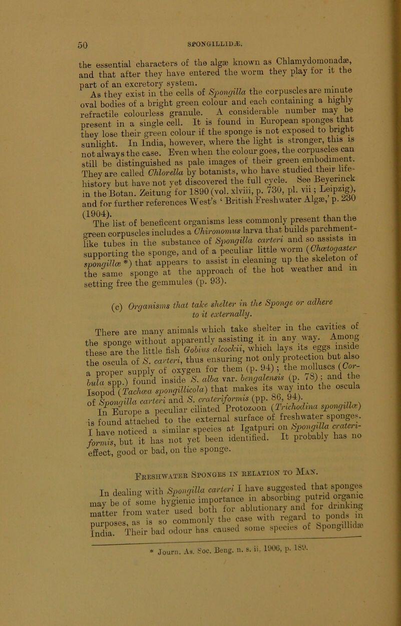 the essential characters o£ the algae known as Chlamydomopads, and that after they have entered the worm they play tor it the part of an excretory system. . As they exist in the cells of Sj>on(jilla the corpuscles are ‘^mute oval bodies of a bright green colour and each containing a highly retractile colourless granule. A considerable number “=^7 b® present in a single cell. It is found in European sponges that they lose their green colour if the sponge is not exposed to bright sunlight. In India, however, where the light is stronger, this is not always the case. Even when the colour goes, the corpuscles can still be distinguished as pale images of their green embodiment. They are called Chlorella by botanists, who have studied their hte- history but have not yet discovered the full cycle. See Beyerinck in theBotan. Zeitung for 1890 (vol. xlviii,p. 730, pi. vii; Lfpzig). and for further references West’s ‘ British Ereshn ater Algae, p. 230 T*hhist of beneficent organisms less commonly present than the green corpuscles includes a Chirmomus larva that builds parchment- like tubes in the substance of Siiongilla carteri and so assists in supporting the sponge, and of a peculiar little worm {Gh^togaster spongiUce *) that appears to assist in cleaning up the skeleton of the same sponge at the approach ot the hot weather and in setting free the gemmules (p. 93). (c) Organisms that take shelter in the Sponge or adhere to it externally. There are many animals which take shelter in the cavities of the sponge without apparently assisting it in any way. A.mong thie are the little fish alcockii, which lays its eggs inside the oscula of S. carteri, thus ensuring not only protection but also a proper supply of oxygen for them (p. 94) ; the nml uscs hida spp ) found inside /8. alha var. hengalensxs (p. / 8) , and the Bopod sj,or,gali:ola) that makes its 'vay mto the oscula of Sponqilla carteri and S. craterifornus (pp. 8b, 94). In Europea peculiar ciliated Protozoon (Tncliodma spongilla^) is found attached to the external surface of freshwater sponges. I have noticed a similar species at Igatpuri on crateri- formis, but it has not yet been identified. It probably has no effect, good or bad, on the sponge. EitESUWATiiK Sponges in relation to Man. In dealing with Spongilla carteri I have suggested that sponges mav be of some hygienic importance in absorbing putrid organic ,ter used both for ablutionary and tor drinking pu^^ses, as is so commonly the case with India. Their bad odour has caused some species of bpong ♦ .Tntirn .-Va. fc’oc. Beiic. n. s. ii, lUOG,