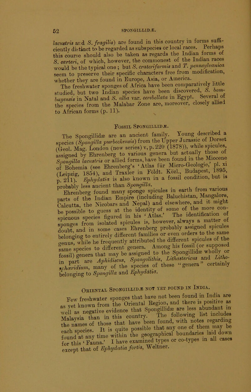 Ucustris ar.d S.fragilis) are found in this country in forms suffi- ciently distinct to be regarded as subspecies or local races. Perhaps this course should also be taken as regards the Indian forms of S. carten, of which, however, the commonest of the Indian rai^s would be the typical one ; but S. crateriformis and T. pennsi^vanica seem to preserve their specific characters free from modification, whether they are found in Europe, Asia, or America. The freshwater sponges of Africa have been comparatively little studied, but two Indian species have been discovered, S. hom- bayensis in Natal and S. alba var. cerebellata m Egypt. Several ot the species from the Malabar Zone are, moreover, closely allied to African forms (p. 11). Eossil Spongillid^. The Spongillid® are an ancient family. Young descrffied a species (Spongilla purbeckensis) from the Upper Jurassic of Dorset G?ol. Mai London (new series) v, p. 220 (1878)), while spicules assigned by Ehrenberg to various genera but actually those ot Sponqilla lacustris or allied forms, have been found in the Miocene of Bohemia (see Ehrenberg’s ‘Atlas ffir Micro-Geologie, pi. xi (Leipzig, 1854), and Traxler in Eoldt. Kozl., Budapest, 1895, p. 211)? Ephydatia is also known in a fossil condition, but is probably less ancient than Spongilla. . Ehrenberg found many sponge spicules in earth from varions parts of the Indian Empire (including Baluchistan, Mangalore, Calcutta, the Nicobars and Nepal) and elsewhere, and it might be possible to guess at the identity of some of the more con- sfficious specie! figured in his ‘Atlas.’ The identification o sponges from isolated spicules is, however, always a matter of dLbt, and in some cases Ehrenberg probably assigned spicules belonging to entirely different families or even orders to the same cenus! while he frequently attributed the different spicules of the same species to different genera. Among his fossil (or supposed fossil) genera that may be assigned to the Spongillidm wholly or in part are Aphidiscus, Spongolithis Lithastericus and Utho- Zh^Sium, many of the species of these “genera” certainly belonging to Spongilla and Ephydatia. Obtental Spongilltd^ not vet found in India. Eew freshwater sponges that have not been found in India are as vS known from the Oriental Eegion and there is positive ^ wen as negative evidence that Spongillidm are ess abundant in Malavl than in this country. The following list includes the names of those that have been found, with notes regarding each species. It is quite possible that any one of them may be found at any time within the geographical boundaries laid down for thif'Sina.’ I have examined types or co-types in all cases except that of Ephydatia fortis, Weltner.
