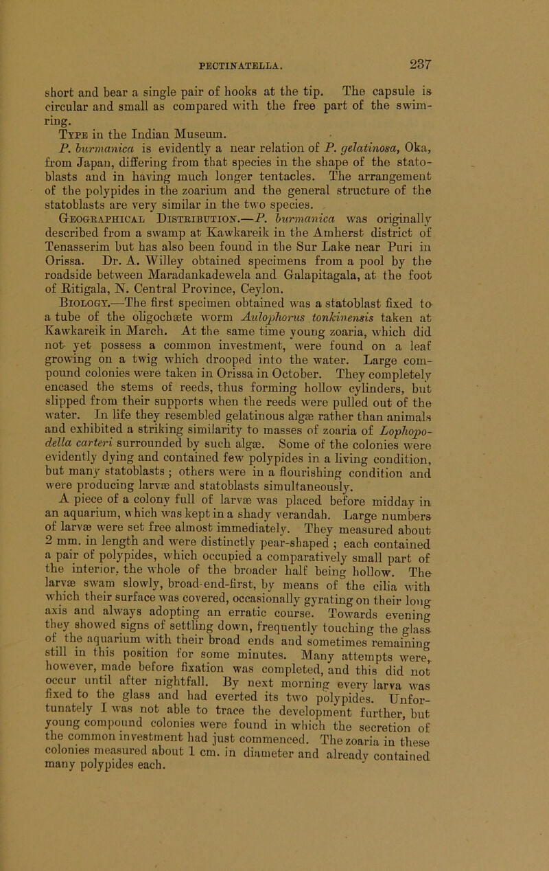 short and bear a single pair of hooks at the tip. The capsule is circular and small as compared with the free part of the swim- ring. Type in the Indian Museum. P. hurmanica is evidently a near relation of P. gelatinosa, Oka, fi’om Japan, differing from that species in the shape of the stato- blasts and in having much longer tentacles. The arrangement of the polypides in the zoarium and the general structure of the statoblasts are very similar in the two species. Geogbaphical DiSTBiBUTioir.—P. hurmanica w^as originally described from a swamp at Kawkareik in the Amherst district of Tenasserim but has also been found in the Sur Lake near Puri in Orissa. Dr. A. Willey obtained specimens from a pool by the roadside between Maradankadewela and Galapitagala, at the foot of Pitigala, N. Central Province, Ceylon. Biology.—The first specimen obtained was a statoblast fixed to a tube of the oligochaete worm AulopJiorus tonkinensis taken at Kawkareik in March, At the same time young zoaria, which did not- yet possess a common investment, were found on a leaf growing on a twig which drooped into the water. Large com- pound colonies were taken in Orissa in October. They completely encased the stems of reeds, thus forming hollow cylinders, but slipped from their supports when the reeds were pulled out of the water. In life they resembled gelatinous algae rather than animals and exhibited a striking similarity to masses of zoaria of Lophopo- della carteri surrounded by such algae. Some of the colonies were evidently dying and contained few polypides in a living condition, but man} statoblasts ; others were in a flourishing condition and were producing larvae and statoblasts simultaneously. A piece of a colony full of larvae was placed before midday in an aquarium, which vvas kept in a shady verandah. Large numbers of larvae were set free almost immediately. They measured about 2 mm. in length and were distinctly pear-shaped ; each contained a pair of polypides, which occupied a comparatively small part of the interior, the whole of the broader half being hollow. The larvae swam slowly, broad-end-first, by means of the cilia with which their surface was covered, occasionally gyrating on their long axis and always adopting an erratic course. Towards evening they showed signs of settling down, frequently touching the glass- of the aquarium with their broad ends and sometimes remaining still in this position for some minutes. Many attempts were, however, made before fixation was completed, and this did not occur until after nightfall. By next morning every larva was fixed to the glass and had everted its two polypides. Unfor- tunately I was not able to trace the development further but young compound colonies were found in which the secretion of the common investment had just commenced. The zoaria in these colonies measured about 1 cm. in diameter and already contained many polypides each.