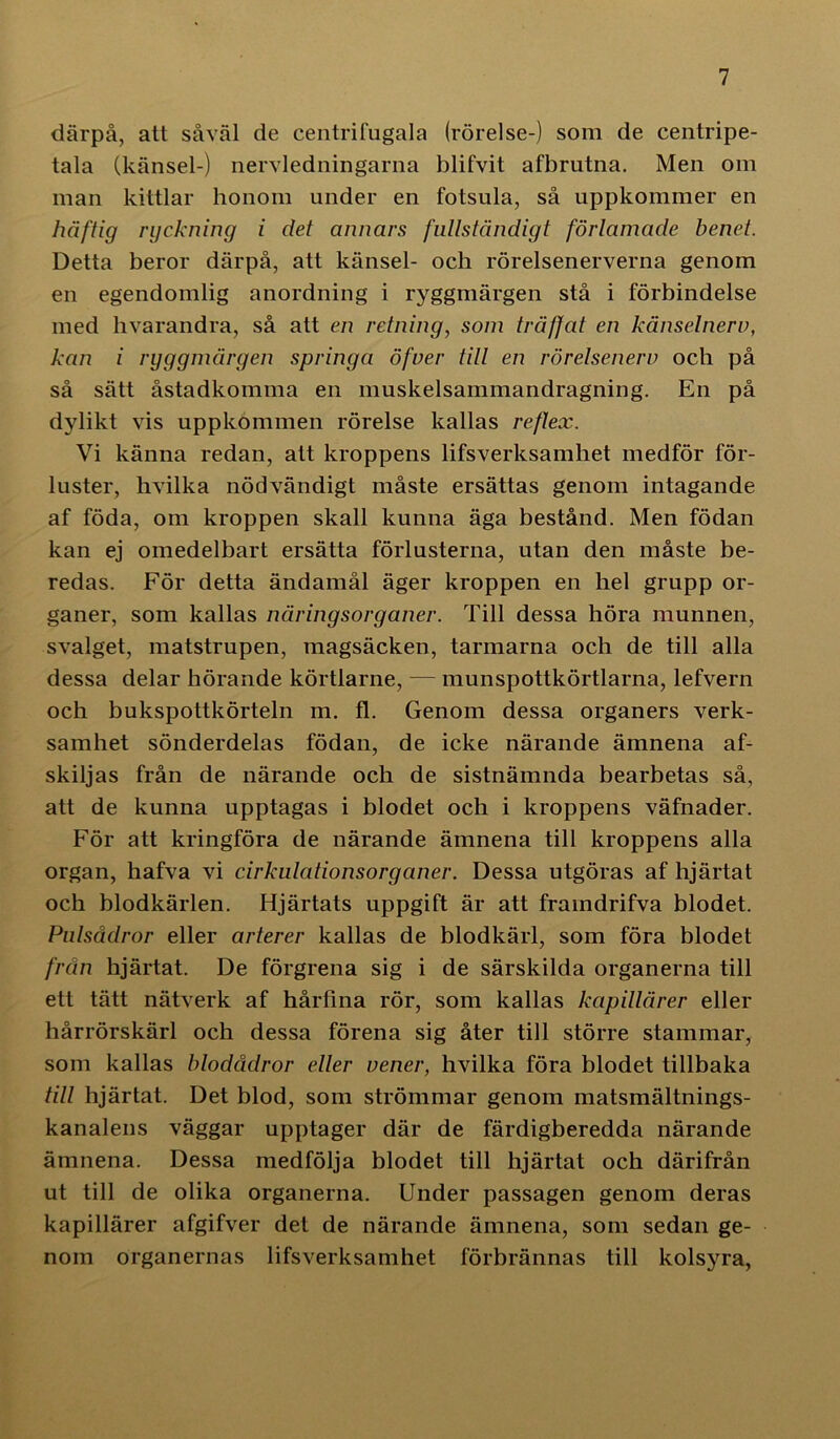 därpå, att såväl de centrifugala (rörelse-) som de centripe- tala (känsel-) nervledningarna blifvit afbrutna. Men om man kittlar honom under en fotsula, så uppkommer en häftig ryckning i det annars fullständigt förlamade benet. Detta beror därpå, att känsel- och rörelsenerverna genom en egendomlig anordning i ryggmärgen stå i förbindelse med hvarandra, så att en retning, som träffat en känselnerv, kan i ryggmärgen springa öfver till en rörelsenerv och på så sätt åstadkomma en muskelsammandragning. En på dylikt vis uppkommen rörelse kallas reflex. Vi känna redan, att kroppens lifsverksamhet medför för- luster, hvilka nödvändigt måste ersättas genom intagande af föda, om kroppen skall kunna äga bestånd. Men födan kan ej omedelbart ersätta förlusterna, utan den måste be- redas. För detta ändamål äger kroppen en hel grupp or- ganer, som kallas näringsorganer. Till dessa höra munnen, svalget, matstrupen, magsäcken, tarmarna och de till alla dessa delar hörande körtlarne, — munspottkörtlarna, lefvern och bukspottkörteln m. fl. Genom dessa organers verk- samhet sönderdelas födan, de icke närande ämnena af- skiljas från de närande och de sistnämnda bearbetas så, att de kunna upptagas i blodet och i kroppens väfnader. För att kringföra de närande ämnena till kroppens alla organ, hafva vi cirkulationsorganer. Dessa utgöras af hjärtat och blodkärlen. Hjärtats uppgift är att framdrifva blodet. Pulsådror eller arterer kallas de blodkärl, som föra blodet från hjärtat. De förgrena sig i de särskilda organerna till ett tätt nätverk af hårfina rör, som kallas kapillärer eller hårrörskärl och dessa förena sig åter till större stammar, som kallas blodådror eller vener, hvilka föra blodet tillbaka till hjärtat. Det blod, som strömmar genom matsmältnings- kanalens väggar upptager där de färdigberedda närande ämnena. Dessa medfölja blodet till hjärtat och därifrån ut till de olika organerna. Under passagen genom deras kapillärer afgifver det de närande ämnena, som sedan ge- nom örganernas lifsverksamhet förbrännas till kolsyra,