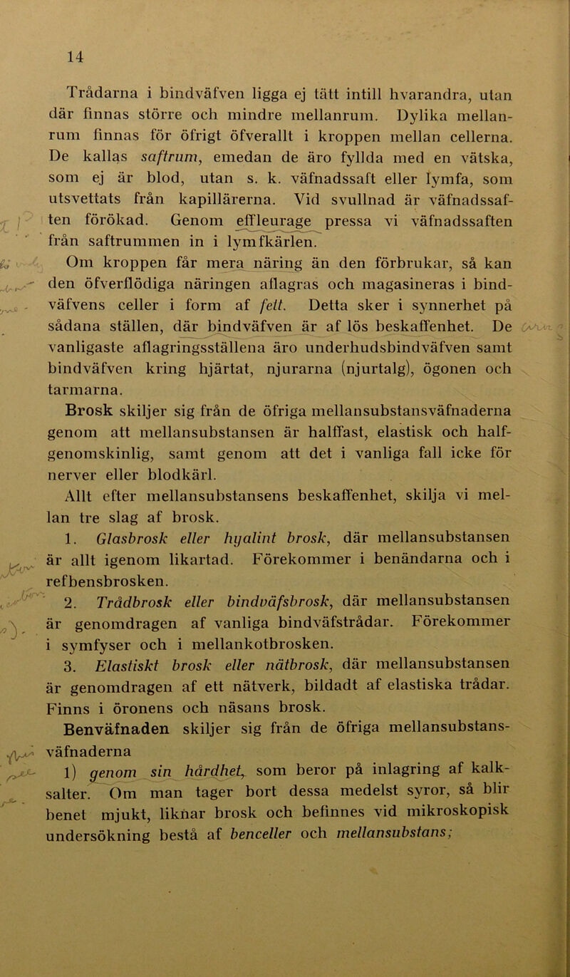 1 11 ej » MS Jpr- t ^ O' • /^£X' Trådarna i bindväfven ligga ej tätt intill hvarandra, utan där finnas större och mindre mellanrum. Dylika mellan- rum finnas för öfrigt öfverallt i kroppen mellan cellerna. De kallas saftrum, emedan de äro fyllda med en vätska, som ej är blod, utan s. k. väfnadssaft eller lymfa, som utsvettats från kapillärerna. Vid svullnad är väfnadssaf- ten förökad. Genom effleurage pressa vi väfnadssaften från saftrummen in i lymfkärlen. Om kroppen får mera näring än den förbrukar, så kan den öfverflödiga näringen allagras och magasineras i bind- väfvens celler i form af fett. Detta sker i synnerhet på sådana ställen, där bindväfven är af lös beskaffenhet. De vanligaste aflagringsställena äro underhudsbindväfven samt bindväfven kring hjärtat, njurarna (njurtalg), ögonen och tarmarna. Brosk skiljer sig från de öfriga mellansubstansväfnaderna genom att mellansubstansen är halffast, elastisk och half- genomskinlig, samt genom att det i vanliga fall icke för nerver eller blodkärl. Allt efter mellansubstansens beskaffenhet, skilja vi mel- lan tre slag af brosk. 1. Glasbrosk eller hyalint brosk, där mellansubstansen är allt igenom likartad. Förekommer i benändarna och i refbensbrosken. 2. Trådbrosk eller bindnäfsbrosk, där mellansubstansen är genomdragen af vanliga bindväfstrådar. Förekommer i symfyser och i mellankotbrosken. 3. Elastiskt brosk eller nätbrosk, där mellansubstansen är genomdragen af ett nätverk, bildadt af elastiska trådar. Finns i öronens och näsans brosk. Benväfnaden skiljer sig från de öfriga mellansubstans- väfnaderna l) genom sin hårdhet, som beror på inlagring af kalk- salter. Om man tager bort dessa medelst syror, så blir benet mjukt, liknar brosk och befinnes vid mikroskopisk undersökning bestå af benceller och mellansubstans;