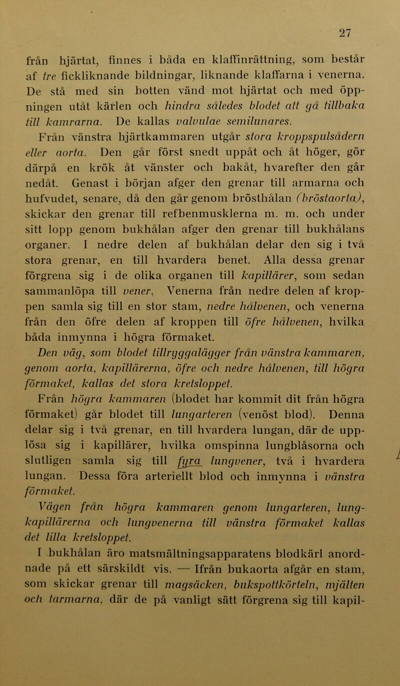 från hjärtat, tinnes i båda en klaffinrättning, som består af tre fickliknande bildningar, liknande klaffarna i venerna. De stå med sin botten vänd mot hjärtat och med öpp- ningen utåt kärlen och hindra således blodet att gå tillbaka till kamrarna. De kallas valvulae semilunares. Från vänstra hjärtkammaren utgår stora kroppspulsådern eller aorta. Den går först snedt uppåt och åt höger, gör därpå en krök åt vänster och bakåt, hvarefter den går nedåt. Genast i början afger den grenar till armarna och hufvudet, senare, då den går genom brösthålan (bröstaorta), skickar den grenar till refbenmusklerna m. m. och under sitt lopp genom bukhålan afger den grenar till bukhålans organer. I nedre delen af bukhålan delar den sig i två stora grenar, en till hvardera benet. Alla dessa grenar förgrena sig i de olika organen till kapillärer, som sedan sammanlöpa till vener. Venerna från nedre delen af krop- pen samla sig till en stor stam, nedre hålvenen, och venerna från den öfre delen af kroppen till öfre hålvenen, hvilka båda inmynna i högra förmaket. Den våg, som blodet tillryggalägger från vänstra kammaren, genom aorta, kapillärerna, öfre och nedre hålvenen, till högra förmaket, kallas det stora kretsloppet. Från högra kammaren (blodet har kommit dit från högra förmaket) går blodet till lung arter en (venöst blod). Denna delar sig i två grenar, en till hvardera lungan, där de upp- lösa sig i kapillärer, hvilka omspinna lungblåsorna och slutligen samla sig till fyra lungvener, två i hvardera lungan. Dessa föra arteriellt blod och inmynna i vänstra förmaket. Vägen från högra kammaren genom lungarteren, lung- kapillärerna och Inngvenerna till vänstra förmaket kallas det lilla kretsloppet. I bukhålan äro matsmältningsapparatens blodkärl anord- nade på ett särskildt vis. — Ifrån bukaorta afgår en stam, som skickar grenar till magsäcken, bukspottkörteln, mjälten och tarmarna, där de på vanligt sätt förgrena sig till kapil-