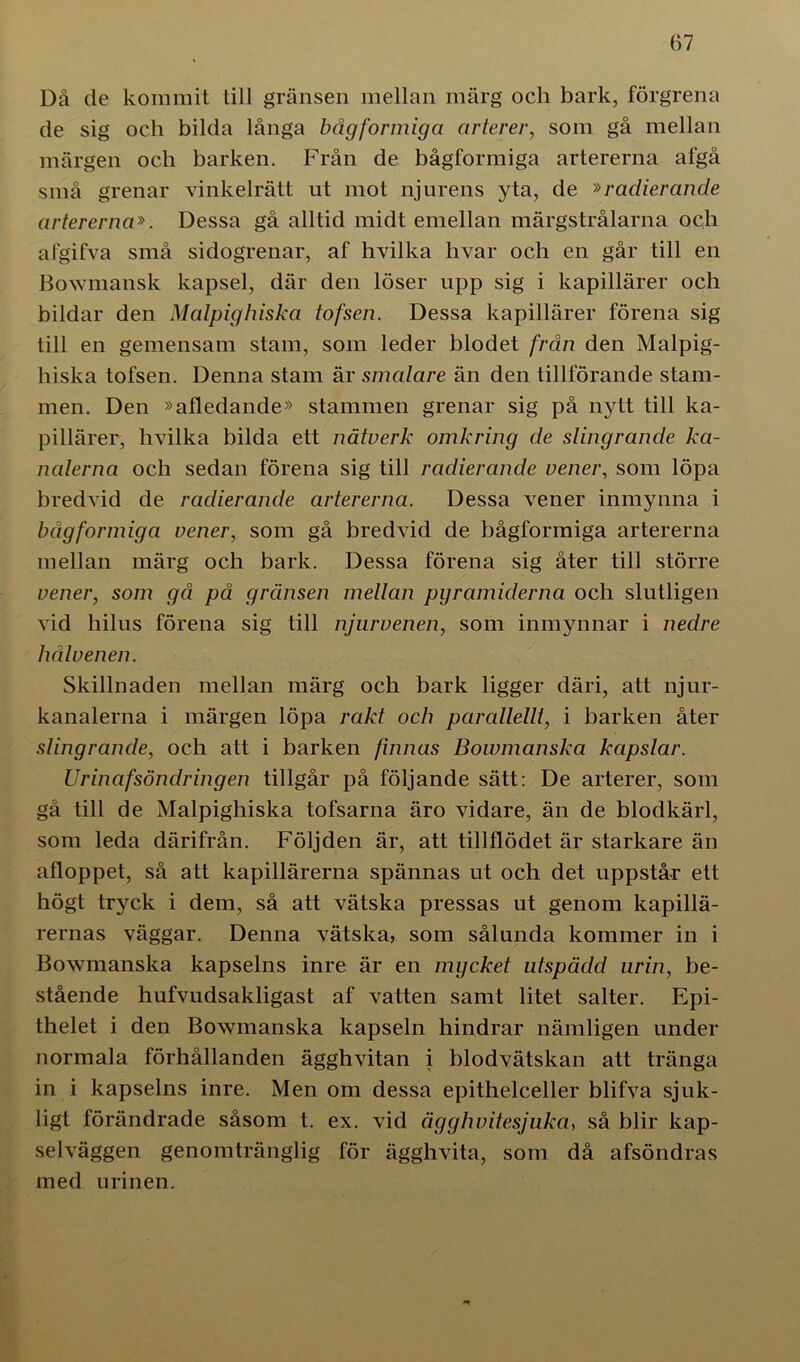 Då de kommit till gränsen mellan märg och bark, förgrena de sig och bilda långa bågformiga arterer, som gå mellan märgen och barken. Från de bågformiga artererna afgå små grenar vinkelrätt ut mot njurens yta, de '»radierande artererna». Dessa gå alltid midt emellan märgstrålarna och afgifva små sidogrenar, af hvilka livar och en går till en Bowmansk kapsel, där den löser upp sig i kapillärer och bildar den Malpighiska tofsen. Dessa kapillärer förena sig till en gemensam stam, som leder blodet från den Malpig- hiska tofsen. Denna stam är smalare än den tillförande stam- men. Den »afledande» stammen grenar sig på nytt till ka- pillärer, hvilka bilda ett nätverk omkring de slingrande ka- nalerna och sedan förena sig till radier ande vener, som löpa bredvid de radierande artererna. Dessa vener inmynna i bågformiga vener, som gå bredvid de bågformiga artererna mellan märg och bark. Dessa förena sig åter till större vener, som gå på gränsen mellan pyramiderna och slutligen vid hilus förena sig till njurvenen, som inmynnar i nedre hålvenen. Skillnaden mellan märg och bark ligger däri, att njur- kanalerna i märgen löpa rakt och parallellt, i barken åter slingrande, och att i barken finnas Bowmanska kapslar. Urinafsöndring en tillgår på följande sätt: De arterer, som gå till de Malpighiska tofsarna äro vidare, än de blodkärl, som leda därifrån. Följden är, att tillflödet är starkare än afloppet, så att kapillärerna spännas ut och det uppstår ett högt tryck i dem, så att vätska pressas ut genom kapillä- rernas väggar. Denna vätska, som sålunda kommer in i Bowmanska kapselns inre är en mycket utspädd urin, be- stående hufvudsakligast af vatten samt litet salter. Epi- thelet i den Bowmanska kapseln hindrar nämligen under normala förhållanden ägghvitan i blodvätskan att tränga in i kapselns inre. Men om dessa epithelceller blifva sjuk- ligt förändrade såsom t. ex. vid äg g h vitesjuka, så blir kap- selväggen genomtränglig för ägghvita, som då afsöndras med urinen.