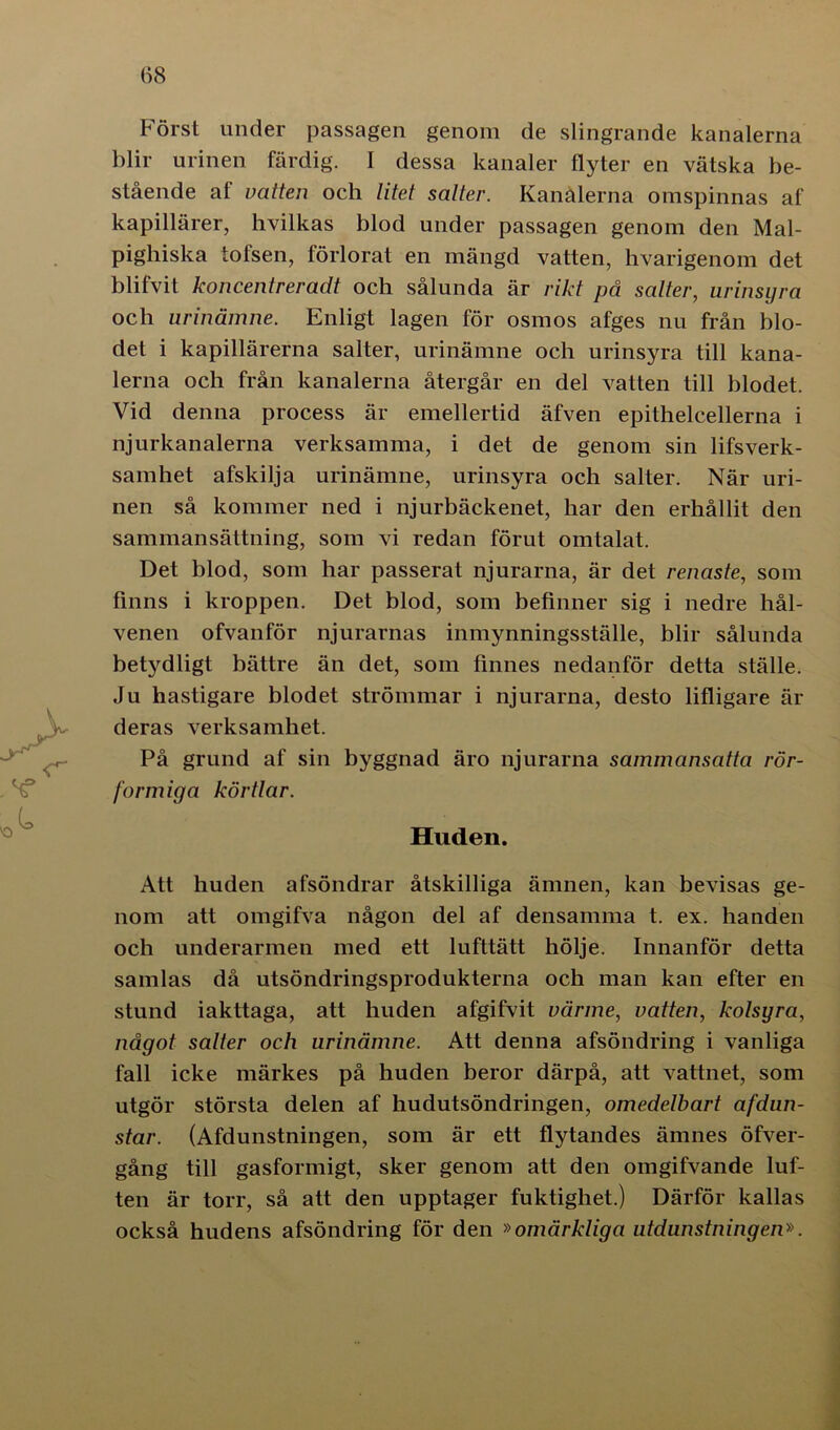 Först under passagen genom de slingrande kanalerna blir urinen färdig. I dessa kanaler flyter en vätska be- stående af vatten och litet salter. Kanalerna omspinnas af kapillärer, hvilkas blod under passagen genom den Mal- pighiska lotsen, förlorat en mängd vatten, hvarigenom det blifvit koncentreradt och sålunda är rikt på salter, urinsyra och urinämne. Enligt lagen för osmos afges nu från blo- det i kapillärerna salter, urinämne och urinsyra till kana- lerna och från kanalerna återgår en del vatten till blodet. Vid denna process är emellertid äfven epithelcellerna i njurkanalerna verksamma, i det de genom sin lifsverk- samhet afskilja urinämne, urinsyra och salter. När uri- nen så kommer ned i njurbäckenet, har den erhållit den sammansättning, som vi redan förut omtalat. Det blod, som har passerat njurarna, är det renaste, som finns i kroppen. Det blod, som befinner sig i nedre hål- venen ofvanför njurarnas inmynningsställe, blir sålunda betydligt bättre än det, som finnes nedanför detta ställe. Ju hastigare blodet strömmar i njurarna, desto lifligare är deras verksamhet. På grund af sin byggnad äro njurarna sammansatta rör- formiga körtlar. Huden. Att huden afsöndrar åtskilliga ämnen, kan bevisas ge- nom att omgifva någon del af densamma t. ex. handen och underarmen med ett lufttätt hölje. Innanför detta samlas då utsöndringsprodukterna och man kan efter en stund iakttaga, att huden afgifvit värme, vatten, kolsyra, något salter och urinämne. Att denna afsöndring i vanliga fall icke märkes på huden beror därpå, att vattnet, som utgör största delen af hudutsöndringen, omedelbart afdun- star. (Afdunstningen, som är ett flytandes ämnes öfver- gång till gasformigt, sker genom att den omgifvande luf- ten är torr, så att den upptager fuktighet.) Därför kallas också hudens afsöndring för den »omärkliga utdunstningen».