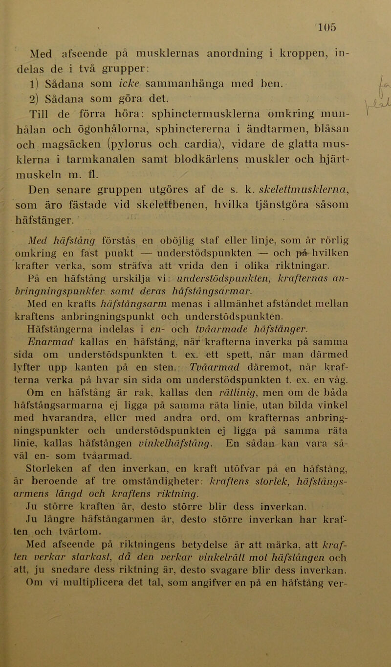 Med afseende på musklernas anordning i kroppen, in- delas de i två grupper: 1) Sådana som icke sammanhänga med ben. 2) Sådana som göra det. Till de förra höra: sphinctermusklerna omkring mun- hålan och ögonhålorna, sphinctererna i ändtarmen, blåsan och magsäcken (pylorus och cardia), vidare de glatta mus- klerna i tarmkanalen samt blodkärlens muskler och hjärt- muskeln m. 11. Den senare gruppen utgöres af de s. k. skelettmusklerna, som äro fästade vid skeleltbenen, hvilka tjänstgöra såsom häfstänger. Med håfstång förstås en oböjlig staf eller linje, som är rörlig omkring en fast punkt — understödspunkten — och på hvilken krafter verka, som sträfva att vrida den i olika riktningar. På en håfstång urskilja vi: understödspunkten, krafternas an- bring ning spunkter samt deras håfstång sarmar. Med en krafts häfstångsarm menas i allmänhet afståndet mellan kraftens anbringningspunkt och understödspunkten. Häfstängerna indelas i en- och tvåarmade häfstänger. Enarmad kallas en håfstång, när krafterna inverka på samma sida om understödspunkten t. ex. ett spett, när man därmed lyfter upp kanten på en sten. Tvåarmad däremot, när kraf- terna verka på livar sin sida om understödspunkten t. ex. en våg. Om en håfstång är rak, kallas den råtlinig, men om de båda häfstångsarmarna ej ligga på samma räta linie, utan bilda vinkel med hvarandra, eller med andra ord, om krafternas anbring- ningspunkter och understödspunkten ej ligga på samma räta linie, kallas häfstången vinkelhäfstång. En sådan kan vara så- väl en- som tvåarmad. Storleken af den inverkan, en kraft utöfvar på en håfstång, är beroende af tre omständigheter, kraftens storlek, håfstång s- armens långd och kraftens riktning. Ju större kraften är, desto större blir dess inverkan. Ju längre häfstångarmen är, desto större inverkan har kraf- ten och tvärtom. Med afseende på riktningens betydelse är att märka, att kraf- ten verkar starkast, då den verkar vinkelrätt mot häfstången och att, ju snedare dess riktning är, desto svagare blir dess inverkan. Om vi multiplicera det tal, som angifver en på en håfstång ver-