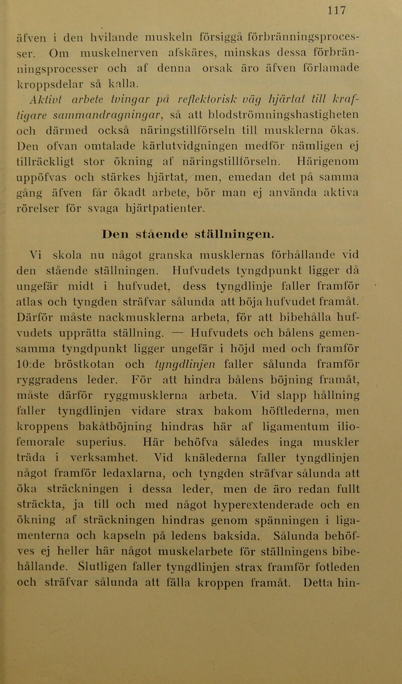 älven i den hvilande muskeln försiggå förbränningsproces- ser. Om muskelnerven afskäres, minskas dessa förbrän- ningsprocesser och af denna orsak äro äfven förlamade kroppsdelar så kalla. Aktivt arbete tvingar på reflektorisk väg hjärtat till kraf- tigare sammandragningar, så att blodströmningshastigheten och därmed också näringstillförseln lill musklerna ökas. Den ofvan omtalade kärlutvidgningen medför nämligen ej tillräckligt stor ökning af näringstillförseln. Härigenom uppöfvas och stärkes hjärtat, men, emedan det på samma gång äfven får ökadt arbete, bör man ej använda aktiva rörelser för svaga hjärtpatienter. Den stående ställningen. Vi skola nu något granska musklernas förhållande vid den stående ställningen. Hufvudets tyngdpunkt ligger då ungefär midf i hufvudet, dess tyngdlinje faller framför atlas och tyngden sträfvar sålunda att böja hufvudet framåt. Därför måste nackmusklerna arbeta, för att bibehålla huf- vudets upprätta ställning. — Hufvudets och bålens gemen- samma tyngdpunkt ligger ungefär i höjd med och framför 10:de bröstkotan och tyng dlinjen faller sålunda framför ryggradens leder. För att hindra bålens böjning framåt, måste därför ryggmusklerna arbeta. Vid slapp hållning faller tyngdlinjen vidare strax bakom höftlederna, men kroppens bakåtböjning hindras här af ligamentum ilio- femorale superius. Här behöfva således inga muskler träda i verksamhet. Vid knälederna faller tyngdlinjen något framför ledaxlarna, och tyngden sträfvar sålunda att öka sträckningen i dessa leder, men de äro redan fullt sträckta, ja till och med något hyperextenderade och en ökning af sträckningen hindras genom spänningen i liga- menterna och kapseln på ledens baksida. Sålunda behöf- ves ej heller här något muskelarbete för ställningens bibe- hållande. Slulligen faller tyngdlinjen strax framför fotleden och sträfvar sålunda att fälla kroppen framåt. Detta hin-