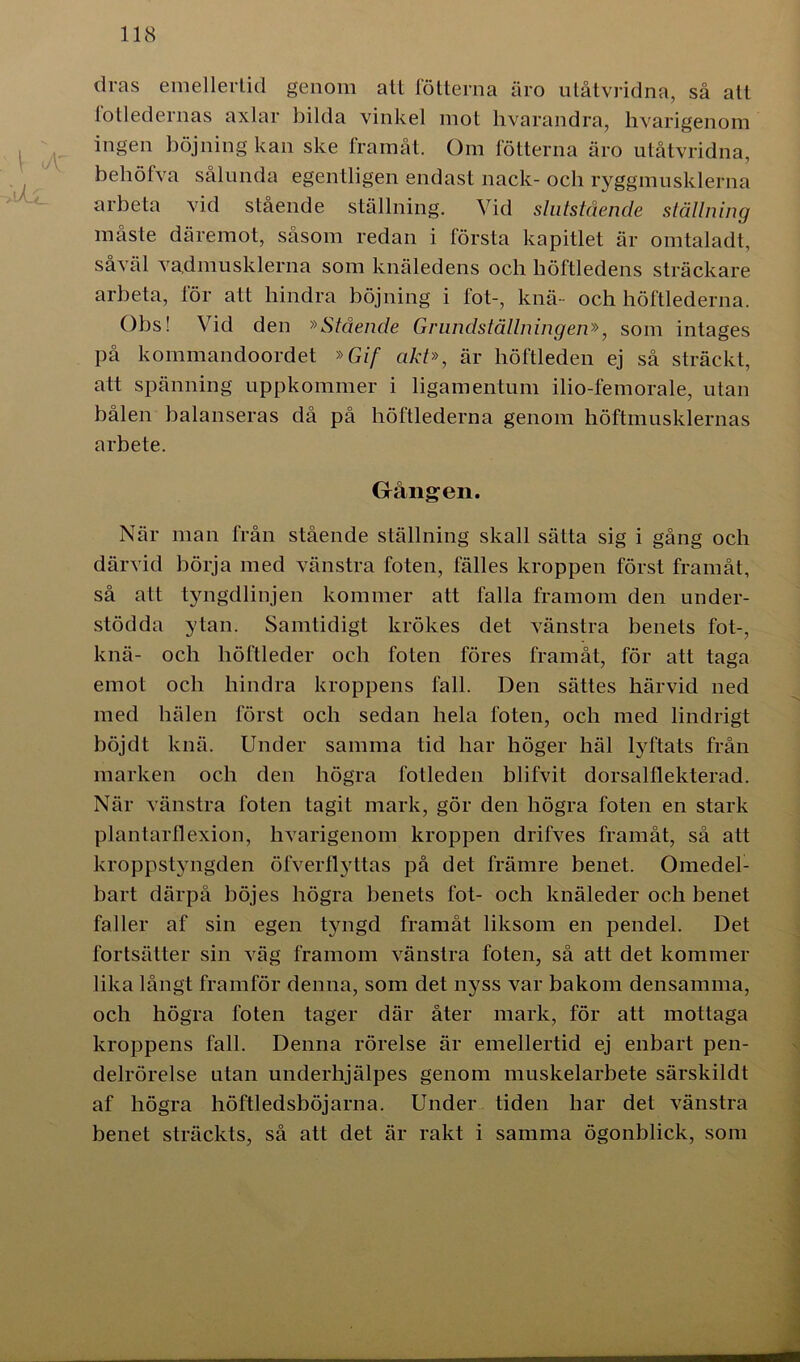 dras emellertid genom att fotterna äro utåtvridna, så att fotledernas axlar bilda vinkel mot hvarandra, hvarigenom ingen böjning kan ske framåt. Om lotterna äro utåtvridna, behöfva sålunda egentligen endast nack- och ryggmusklerna arbeta vid stående ställning. Vid slutstdende ställning måste däremot, såsom redan i första kapitlet är omtaladt, såväl vadmusklerna som knäledens och höftledens sträckare arbeta, för att hindra böjning i fot-, knä- och höftlederna. Obs! Vid den »Stående Grundställningen», som intages på kommandoordet »Gif akt», är höftleden ej så sträckt, att spänning uppkommer i ligamentum ilio-femorale, utan bålen balanseras då på höftlederna genom höftmusklernas arbete. Gången. När man från stående ställning skall sätta sig i gång och därvid börja med vänstra foten, fälles kroppen först framåt, så att tyngdlinjen kommer att falla framom den under- stödda ytan. Samtidigt krökes det vänstra benets fot-, knä- och höftleder och foten föres framåt, för att taga emot och hindra kroppens fall. Den sättes härvid ned med hälen först och sedan hela foten, och med lindrigt böjdt knä. Under samma tid har höger häl lyftats från marken och den högra fotleden blifvit dorsalflekterad. När vänstra foten tagit mark, gör den högra foten en stark plantarflexion, hvarigenom kroppen drifves framåt, så att kroppstyngden öfverflyttas på det främre benet. Omedel- bart därpå böjes högra benets fot- och knäleder och benet faller af sin egen tyngd framåt liksom en pendel. Det fortsätter sin väg framom vänstra foten, så att det kommer lika långt framför denna, som det nyss var bakom densamma, och högra foten tager där åter mark, för att mottaga kroppens fall. Denna rörelse är emellertid ej enbart pen- delrörelse utan underhjälpes genom muskelarbete särskildt af högra höftledsböjarna. Under tiden har det vänstra benet sträckts, så att det är rakt i samma ögonblick, som