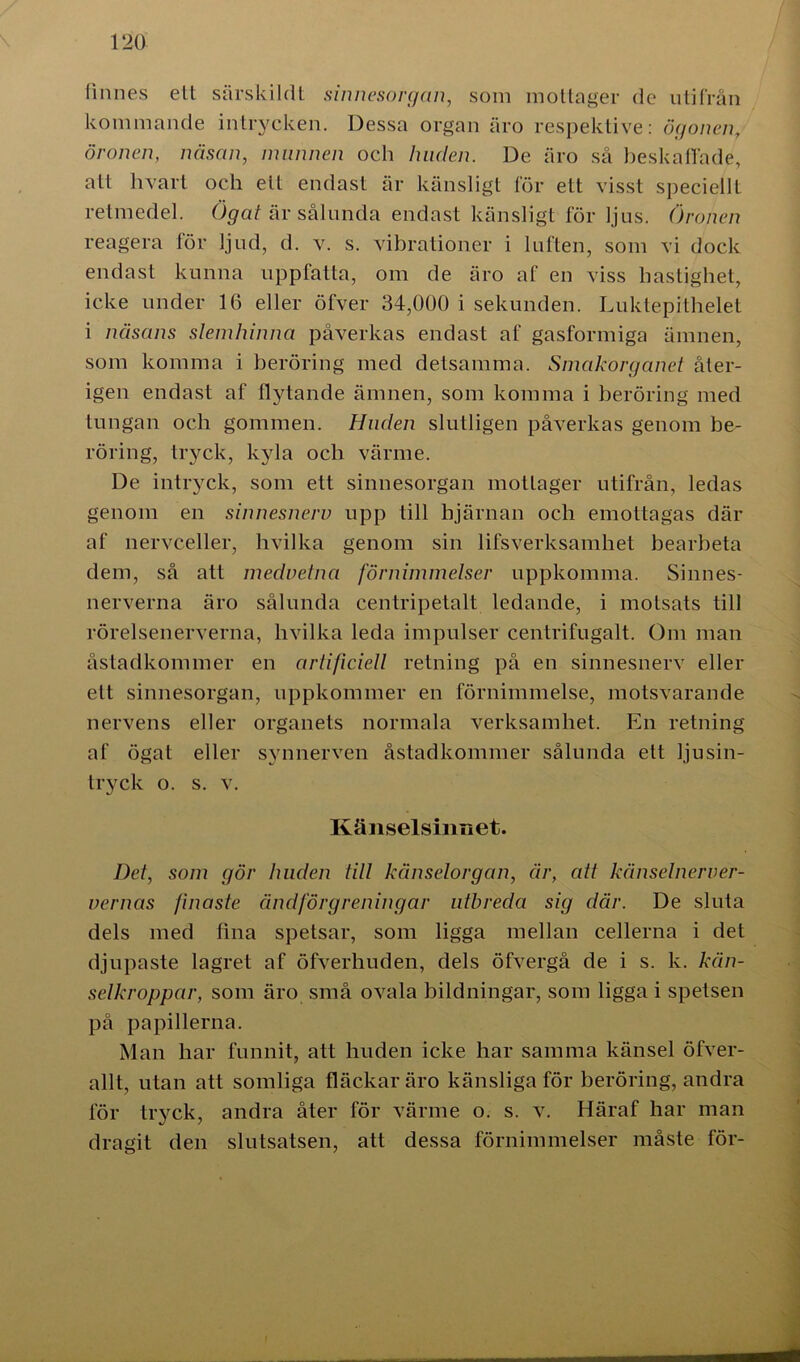 finnes ett särskild! sinnesorgan, som mottager de utifrån kommande intrycken. Dessa organ äro respektive: ögonen, öronen, näsan, mannen och Imden. De äro så beskaffade, att hvart och ett endast är känsligt för ett visst speciellL retmedel. Ögat är sålunda endast känsligt för ljus. Öronen reagera lör ljud, d. v. s. vibrationer i luften, som vi dock endast kunna uppfatta, om de äro af en viss hastighet, icke under 16 eller öfver 34,000 i sekunden. Luktepithelet i näsans slemhinna påverkas endast af gasformiga ämnen, som komma i beröring med detsamma. Smakorganet åter- igen endast af flytande ämnen, som komma i beröring med tungan och gommen. Huden slutligen påverkas genom be- röring, tryck, kyla och värme. De intryck, som ett sinnesorgan mottager utifrån, ledas genom en sinnesnerv upp till hjärnan och emottagas där af nervceller, hvilka genom sin lifsverksamhet bearbeta dem, så att medvetna förnimmelser uppkomma. Sinnes- nerverna äro sålunda centripetalt ledande, i motsats till rörelsenerverna, hvilka leda impulser centrifugalt. Om man åstadkommer en artificiell retning på en sinnesnerv eller ett sinnesorgan, uppkommer en förnimmelse, motsvarande nervens eller organets normala verksamhet. En retning af ögat eller synnerven åstadkommer sålunda ett ljusin- tryck o. s. v. Känselsinnet. Det, som gör huden till känselorgan, är, cdt känselnerver- vernas finaste ändförgreningar utbreda sig där. De sluta dels med fina spetsar, som ligga mellan cellerna i det djupaste lagret af öfverhuden, dels öfvergå de i s. k. kän- selkroppar, som äro små ovala bildningar, som ligga i spetsen på papillerna. Man har funnit, att huden icke har samma känsel öfver- allt, utan att somliga fläckar äro känsliga för beröring, andra för tryck, andra åter för värme o. s. v. Häraf har man dragit den slutsatsen, att dessa förnimmelser måste för-