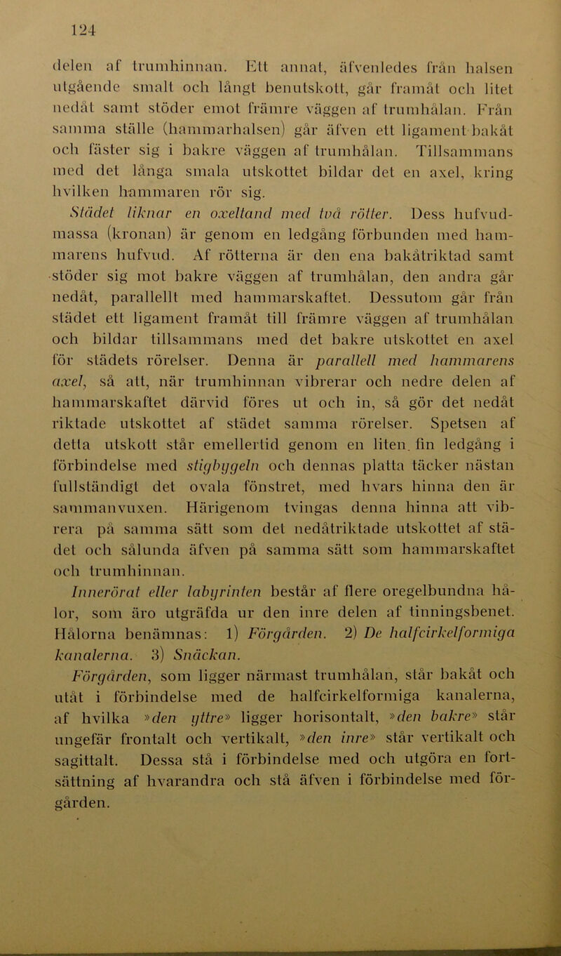 delen af trumhinnan. Elt annat, äfvenledes från halsen utgående smalt och långt benutskott, går framåt och litet nedåt samt stöder emot främre väggen af trumhålan. Från samma ställe (hammarhalsen) går äfven ett ligament bakåt och fäster sig i bakre väggen af trumhålan. Tillsammans med det långa smala utskottet bildar det en axel, kring hvilken hammaren rör sig. Städet liknar en oxeltand med två rötter. Dess hufvud- massa (kronan) är genom en ledgång förbunden med ham- marens hufvud. Af rötterna är den ena bakåtriktad samt stöder sig mot bakre väggen af trumhålan, den andra går nedåt, parallellt med hammarskaftet. Dessutom går från städet ett ligament framåt till främre väggen af trumhålan och bildar tillsammans med det bakre utskottet en axel för slädets rörelser. Denna är parallell med hammarens axel, så att, när trumhinnan vibrerar och nedre delen af hammarskaftet därvid föres ut och in, så gör det nedåt riktade utskottet af städet samma rörelser. Spetsen af detta utskott står emellertid genom en liten, fin ledgång i förbindelse med stigbygeln och dennas platta täcker nästan fullständigt det ovala fönstret, med hvars hinna den är sammanvuxen. Härigenom tvingas denna hinna att vib- rera på samma sätt som det nedåtriktade utskottet af stä- det och sålunda äfven på samma sätt som hammarskaftet och trumhinnan. Inner örat eller labyrinten består af flere oregelbundna hå- lor, som äro utgräfda ur den inre delen af tinningsbenet. Hålorna benämnas: l) Förgården. 2) De halfcirkelformiga kanalerna. 3) Snäckan. Förgården, som ligger närmast trumhålan, står hakåt och utåt i förbindelse med de halfcirkelformiga kanalerna, af hvilka »c/e/i yttre» ligger horisontalt, »<7e/i bakre» står ungefär frontalt och vertikalt, »den inre» står vertikalt och sagittalt. Dessa stå i förbindelse med och utgöra en fort- sättning af hvarandra och stå äfven i förbindelse med för- gården.