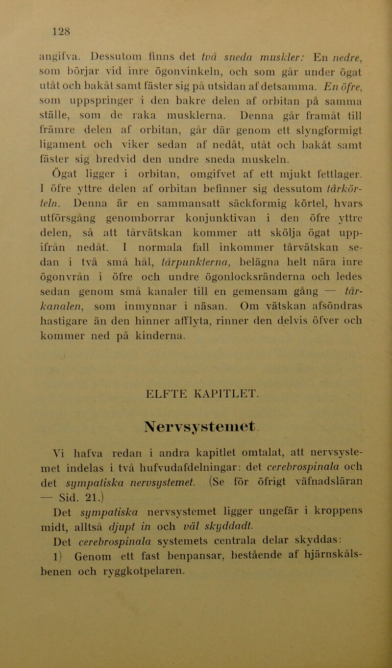 angifva. Dessutom linns det två sneda muskler: En nedre, som börjar vid inre ögonvinkeln, och som går under ögat utåt och bakåt samt fäster sig på utsidan af detsamma. En öfre, som uppspringer i den bakre delen af orbitan på samma ställe, som de raka musklerna. Denna går framåt till främre delen af orbitan, går där genom ett slyngformigt ligament och viker sedan af nedåt, utåt och bakåt samt fäster sig bredvid den undre sneda muskeln. Ögat ligger i orbitan, omgifvet af ett mjukt fettlager. I öfre yttre delen af orbitan befinner sig dessutom tårkör- teln. Denna är en sammansatt säckformig körtel, hvars utförsgång genomborrar konjunktivan i den öfre yttre delen, så alt tårvätskan kommer att skölja ögat upp- ifrån nedåt. I normala fall inkommer tårvätskan se- dan i två små bål, tårpunkterna, belägna helt nära inre ögonvrån i öfre och undre ögonlocksränderna och ledes sedan genom små kanaler till en gemensam gång — tår- kanalen, som inmynnar i näsan. Om vätskan afsöndras hastigare än den hinner afflyta, rinner den delvis öfver och kommer ned på kinderna. ELFTE KAPITLET. Nervsystemet Vi hafva redan i andra kapitlet omtalat, att nervsyste- met indelas i två hufvudafdelningar: det cerebrospinala och det sympatiska nervsystemet. (Se för öfrigt väfnadsläran — Sid. 21.) Det sympatiska nervsystemet ligger ungefär i kroppens midt, alltså djupt in och väl skyddadt. Det cerebrospinala systemets centrala delar skyddas: l) Genom ett fast benpansar, bestående af hjärnskåls- benen och ryggkotpelaren.