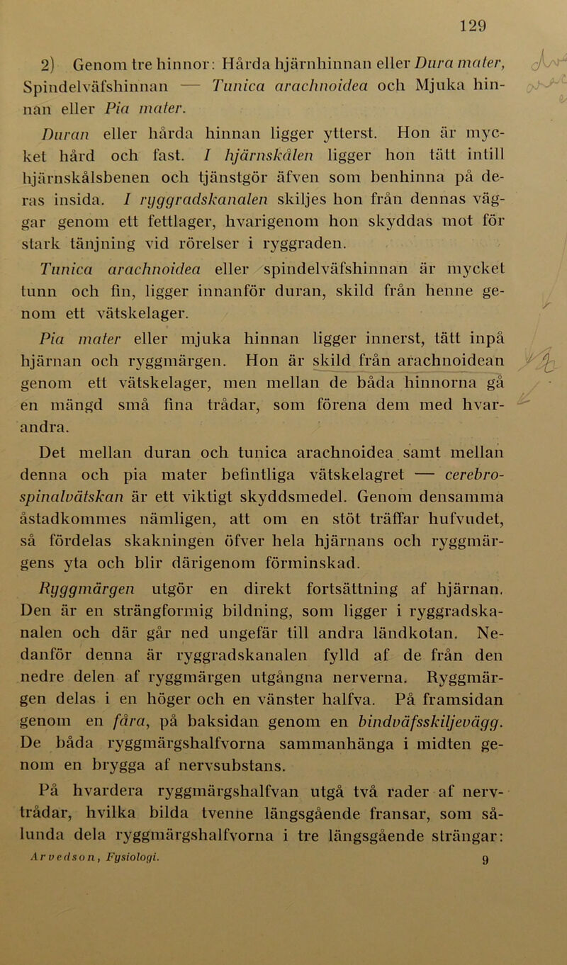 2) Genom tre hinnor: Hårda hjärnhinnan eller Dura mater, Spindelväfshinnan — Tunica araclmoidea och Mjuka hin- nan eller Pia mater. Dur an eller hårda hinnan ligger ytterst. Hon är myc- ket hård och fast. I hjärnskålen ligger hon tätt intill hjärnskålsbenen och tjänstgör äfven som benhinna på de- ras insida. I rygg radskanalen skiljes hon från dennas väg- gar genom ett fettlager, hvarigenom hon skyddas mot för stark tänj ning vid rörelser i ryggraden. Tunica arachnoidea eller spindelväfshinnan är mycket tunn och fin, ligger innanför duran, skild från henne ge- nom ett vätskelager. Pia mater eller mjuka hinnan ligger innerst, tätt inpå hjärnan och ryggmärgen. Hon är skild från arachnoidean genom ett vätskelager, men mellan de båda hinnorna gå en mängd små fina trådar, som förena dem med hvar- andra. Det mellan duran och tunica arachnoidea samt mellan denna och pia mater befintliga vätskelagret — cerebro- spinalvätskan är ett viktigt skyddsmedel. Genom densamma åstadkommes nämligen, att om en stöt träffar hufvudet, så fördelas skakningen öfver hela hjärnans och ryggmär- gens yta och blir därigenom förminskad. Ryggmärgen utgör en direkt fortsättning af hjärnan. Den är en strängformig bildning, som ligger i ryggradska- nalen och där går ned ungefär till andra ländkotan. Ne- danför denna är ryggradskanalen fylld af de från den nedre delen af ryggmärgen utgångna nerverna. Ryggmär- gen delas i en höger och en vänster halfva. På framsidan genom en fåra, på baksidan genom en binduäfsskiljevägg. De båda ryggmärgshalfvorna sammanhänga i midten ge- nom en brygga af nervsubstans. På hvardera ryggmärgshalfvan utgå två rader af nerv- trådar, hvilka bilda tvenne längsgående fransar, som så- lunda dela ryggmärgshalfvorna i tre längsgående strängar: Arve (l s o n , Fysiologi. 9