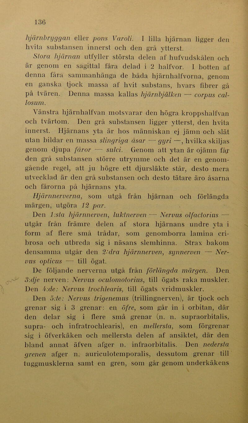 hjärnbryggan eller pons Varoli. I lilla hjärnan ligger den hvita substansen innerst och den grå ytterst. Stora hjärnan utfyller största delen af hufvudskålen och är genom en sagittal fåra delad i 2 lialfvor. I botten af denna fåra sammanhänga de båda hjärnhalfvorna, genom en ganska tjock massa af hvit substans, hvars fibrer gå på tvären. Denna massa kallas hjårnbjålken — corpus cal- losum. Vänstra hjärnhalfvän motsvarar den högra kroppshalfvan och tvärtom. Den grå substansen ligger ytterst, den hvita innerst. Hjärnans yta är hos människan ej jämn och slät utan bildar en massa slingriga åsar — ggri —, hvilka skiljas genom djupa fåror — snlci. Genom att ytan är ojämn fåj den grå substansen större utrymme och det är en genom- gående regel, att ju högre ett djursläkte står, desto mera utvecklad är den grå substansen och desto tätare äro åsarna och fårorna på hjärnans yta. Hjärnnerverna, som utgå från hjärnan och förlängda märgen, utgöra 12 par. Den l.sta hjärnnerven, luktnerven — Nervus olfactorius — utgår från främre delen af stora hjärnans undre yta i form af flere små trådar, som genomborra lamina cri- brosa och utbreda sig i näsans slemhinna. Strax bakom densamma utgår den 2- dra hjärnnerven, synnerven — Ner- vus opticus — till ögat. De följande nerverna utgå från förlängda märgen. Den 3:dje nerven: Nervus oculomotorius, till ögats raka muskler. Den 4:de: Nervus trochlearis, till ögats vridmuskler. Den 5:te: Nervus trigenemus (trillingnerven), är tjock och grenar sig i 3 grenar: en öfre, som går in i orbitan, där den delar sig i flere små grenar (n. n. supraorbitalis, supra- och infratrochlearis), en mellersta, som förgrenar sig i öfverkäken och mellersta delen af ansiktet, där den bland annat äfven afger n. infraorbitalis. Den nedersta grenen afger n. auriculotemporalis, dessutom grenar till tuggmusklerna samt en gren, som går genom underkäkens