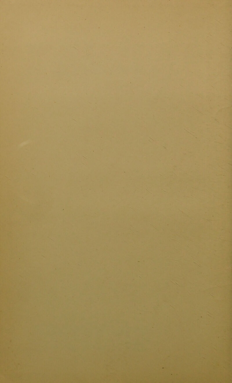 ', « • a ' ^ I 's .1^ X .V ' \ •V •I '$ X -■ N * .X X, X ■!» X 1 *» 1 1 * ‘ .^ •»« s. « :• ■’Si