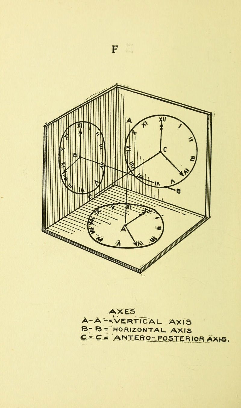 |0 & > -^vertical. axis = HORIZONTAL AXIS » .AfNTtRpj^PpSjeRiOR AXHS,