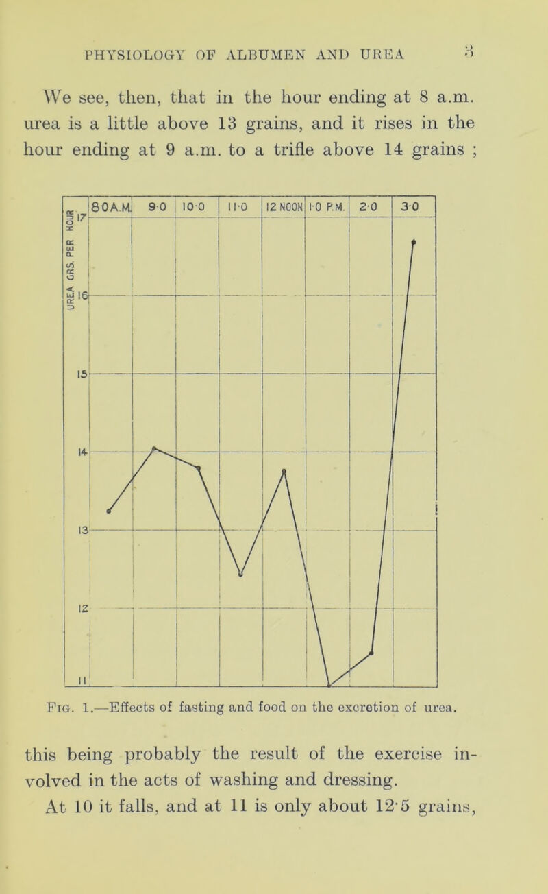 We see, then, that in the hour ending at 8 a.in. urea is a little above 13 grains, and it rises in the hour ending at 9 a.m. to a trifle above 14 grains ; Ftg. 1.—Effects of fasting and food on the excretion of urea. this being probably the result of the exercise in- volved in the acts of washing and dressing. At 10 it falls, and at 11 is only about 12 5 grains,