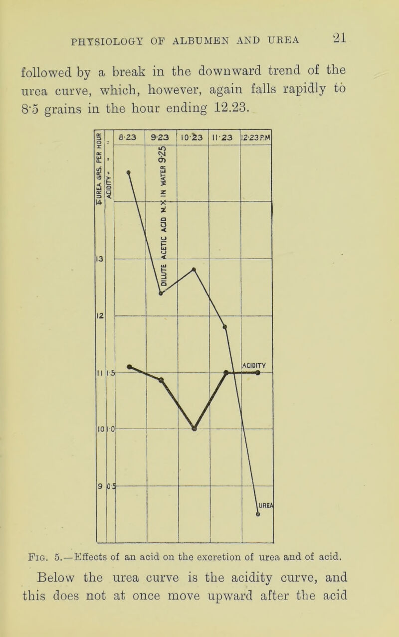 ‘21 followed by a break in the downward trend of the urea curve, which, however, again falls rapidly to 8'5 grains in the hour ending 12.23. Fig. 5.—Effects of an acid on the excretion of urea and of acid. Below the urea curve is the acidity curve, and this does not at once move upward after the acid