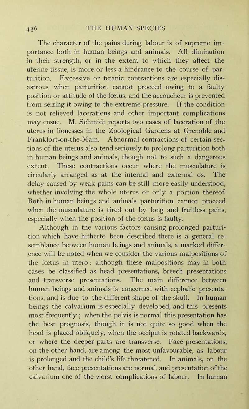 The character of the pains during labour is of supreme im- portance both in human beings and animals. All diminution in their strength, or in the extent to which they affect the uterine tissue, is more or less a hindrance to the course of par- turition. Excessive or tetanic contractions are especially dis- astrous when parturition cannot proceed owing to a faulty position or attitude of the foetus, and the accoucheur is prevented from seizing it owing to the extreme pressure. If the condition is not relieved lacerations and other important complications may ensue. M. Schmidt reports two cases of laceration of the uterus in lionesses in the Zoological Gardens at Grenoble and Frankfort-on-the-Main. Abnormal contractions of certain sec- tions of the uterus also tend seriously to prolong parturition both in human beings and animals, though not to such a dangerous extent. These contractions occur where the musculature is circularly arranged as at the internal and external os. The delay caused by weak pains can be still more easily understood, whether involving the whole uterus or only a portion thereof Both in human beings and animals parturition cannot proceed when the musculature is tired out by long and fruitless pains, especially when the position of the foetus is faulty. Although in the various factors causing prolonged parturi- tion which have hitherto been described there is a general re- semblance between human beings and animals, a marked differ- ence will be noted when we consider the various malpositions of the foetus in utero : although these malpositions may in both cases be classified as head presentations, breech presentations and transverse presentations. The main difference between human beings and animals is concerned with cephalic presenta- tions, and is due to the different shape of the skull. In human beings the calvarium is especially developed, and this presents most frequently ; when the pelvis is normal this presentation has the best prognosis, though it is not quite so good when the head is placed obliquely, when the occiput is rotated backwards, or where the deeper parts are transverse. Face presentations, on the other hand, are among the most unfavourable, as labour is prolonged and the child’s life threatened. In animals, on the other hand, face presentations are normal, and presentation of the calvarium one of the worst complications of labour. In human