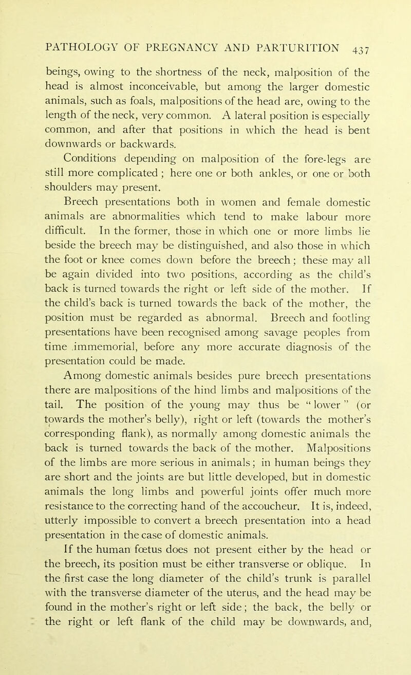 beings, owing to the shortness of the neck, malposition of the head is almost inconceivable, but among the larger domestic animals, such as foals, malpositions of the head are, owing to the length of the neck, very common. A lateral position is especially common, and after that positions in which the head is bent downwards or backwards. Conditions depending on malposition of the fore-legs are still more complicated ; here one or both ankles, or one or both shoulders may present. Breech presentations both in women and female domestic animals are abnormalities which tend to make labour more difficult. In the former, those in which one or more limbs lie beside the breech may be distinguished, and also those in which the foot or knee comes down before the breech; these may all be again divided into two positions, according as the child’s back is turned towards the right or left side of the mother. If the child’s back is turned towards the back of the mother, the position must be regarded as abnormal. Breech and footling presentations have been recognised among savage peoples from time immemorial, before any more accurate diagnosis of the presentation could be made. Among domestic animals besides pure breech presentations there are malpositions of the hind limbs and malpo.sitions of the tail. The position of the young may thus be “ lower ” (or towards the mother’s belly), right or left (towards the mother’s corresponding flank), as normally among domestic animals the back is turned towards the back of the mother. Malpositions of the limbs are more serious in animals; in human beings they are short and the joints are but little developed, but in domestic animals the long limbs and powerful joints offer much more resistance to the correcting hand of the accoucheur. It is, indeed, utterly impossible to convert a breech presentation into a head presentation in the case of domestic animals. If the human foetus does not present either by the head or the breech, its position must be either transverse or oblique. In the first case the long diameter of the child’s trunk is parallel with the transverse diameter of the uterus, and the head may be found in the mother’s right or left side; the back, the belly or the right or left flank of the child may be downwards, and,