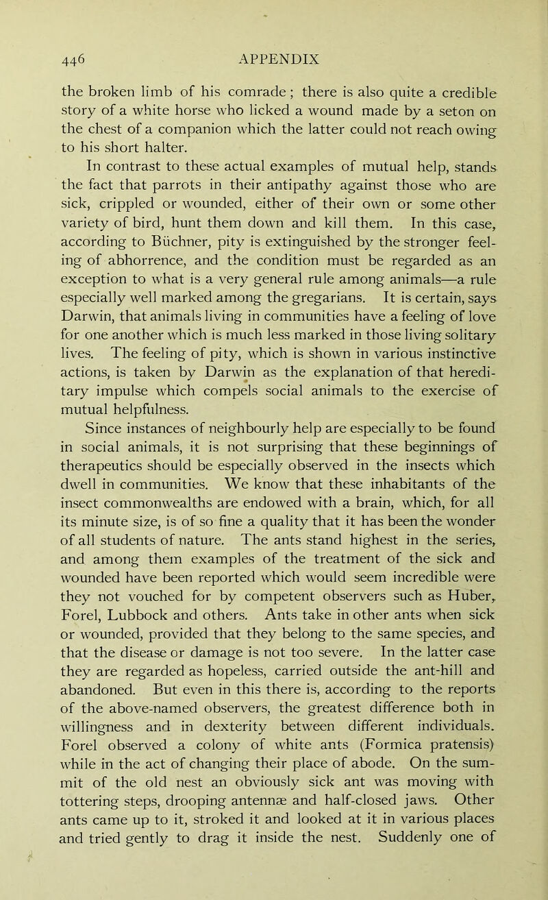 the broken limb of his comrade; there is also quite a credible story of a white horse who licked a wound made by a seton on the chest of a companion which the latter could not reach owing to his short halter. In contrast to these actual examples of mutual help, stands the fact that parrots in their antipathy against those who are sick, crippled or wounded, either of their own or some other variety of bird, hunt them down and kill them. In this case, according to Buchner, pity is extinguished by the stronger feel- ing of abhorrence, and the condition must be regarded as an exception to what is a very general rule among animals-—-a rule especially well marked among the gregarians. It is certain, says Darwin, that animals living in communities have a feeling of love for one another which is much less marked in those living solitary lives. The feeling of pity, which is shown in various instinctive actions, is taken by Darwin as the explanation of that heredi- tary impulse which compels social animals to the exercise of mutual helpfulness. Since instances of neighbourly help are especially to be found in social animals, it is not surprising that these beginnings of therapeutics should be especially observed in the insects which dwell in communities. We know that these inhabitants of the insect commonwealths are endowed with a brain, which, for all its minute size, is of so fine a quality that it has been the wonder of all students of nature. The ants stand highest in the series, and among them examples of the treatment of the sick and wounded have been reported which would seem incredible were they not vouched for by competent observers such as Huber, Forel, Lubbock and others. Ants take in other ants when sick or wounded, provided that they belong to the same species, and that the disease or damage is not too severe. In the latter case they are regarded as hopeless, carried outside the ant-hill and abandoned. But even in this there is, according to the reports of the above-named observers, the greatest difference both in willingness and in dexterity between different individuals. Forel observed a colony of white ants (Formica pratensis) while in the act of changing their place of abode. On the sum- mit of the old nest an obviously sick ant was moving with tottering steps, drooping antennae and half-closed jaws. Other ants came up to it, stroked it and looked at it in various places and tried gently to drag it inside the nest. Suddenly one of