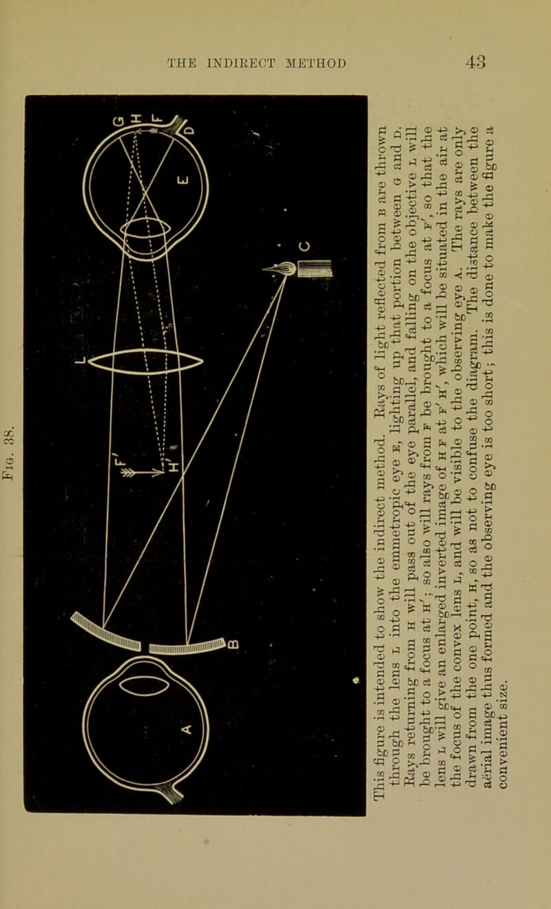 Fig. 38.