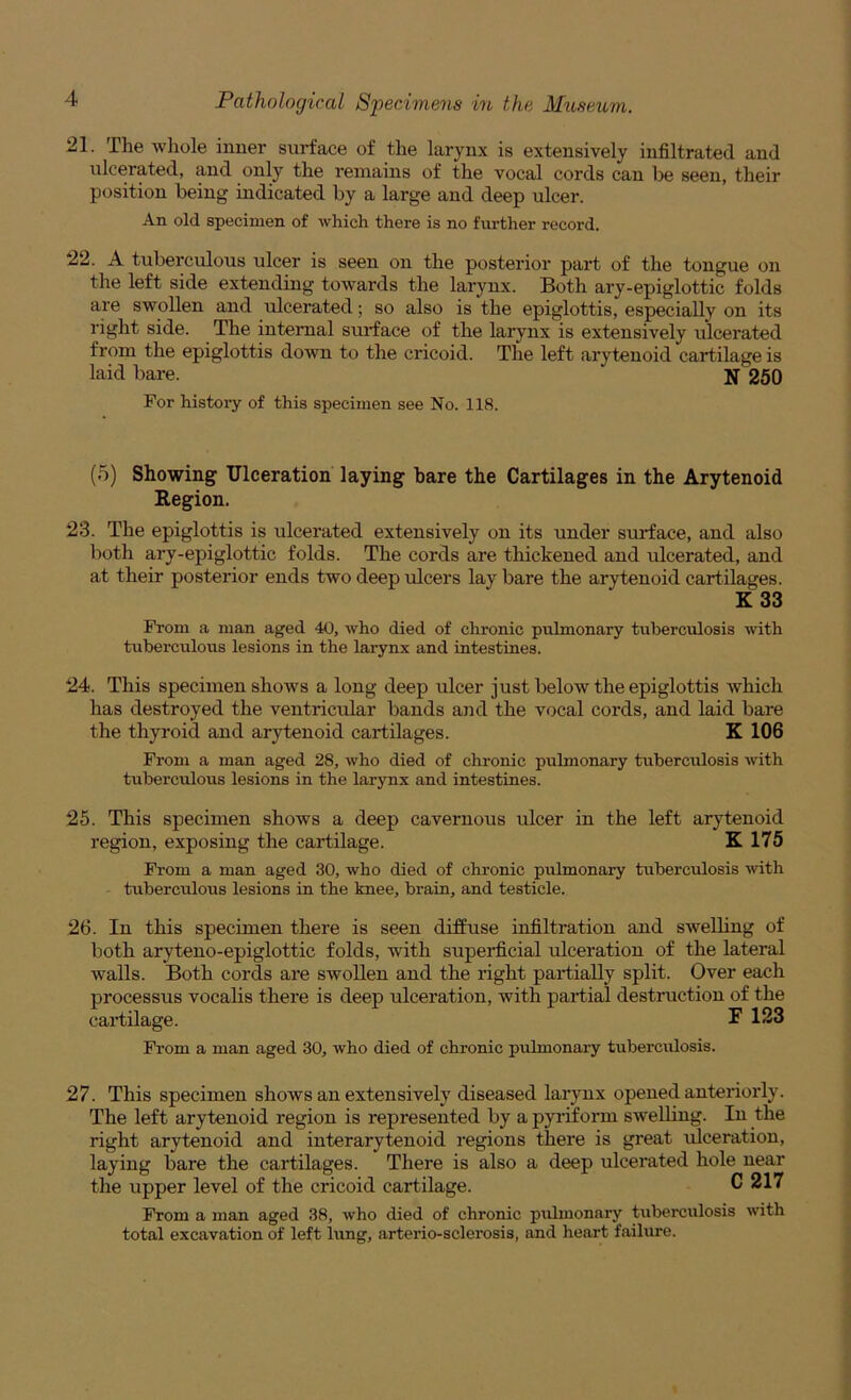 21. The whole inner surface of the larynx is extensively infiltrated and ulcerated, and only the remains of the vocal cords can be seen, their position being indicated by a large and deep ulcer. An old specimen of which there is no further record. 22. A tuberculous ulcer is seen on the posterior part of the tongue on the left side extending towards the larynx. Both ary-epiglottic folds are swollen and ulcerated; so also is the epiglottis, especially on its right side. The internal surface of the larynx is extensively ulcerated from the epiglottis down to the cricoid. The left arytenoid cartilage is laid bare. N 250 For history of this specimen see No. 118. (5) Showing Ulceration laying bare the Cartilages in the Arytenoid Region. 23. The epiglottis is ulcerated extensively on its under surface, and also both ary-epiglottic folds. The cords are thickened and ulcerated, and at their posterior ends two deep ulcers lay bare the arytenoid cartilages. K33 From a man aged 40, who died of chronic pulmonary tuberculosis with tuberculous lesions in the larynx and intestines. 24. This specimen shows a long deep ulcer just below the epiglottis which has destroyed the ventricular bands and the vocal cords, and laid bare the thyroid and arytenoid cartilages. K 106 From a man aged 28, who died of chronic pulmonary tuberculosis with tuberculous lesions in the larynx and intestines. 25. This specimen shows a deep cavernous ulcer in the left arytenoid region, exposing the cartilage. K 175 From a man aged 30, who died of chronic pulmonary tuberculosis with tuberculous lesions in the knee, brain, and testicle. 26. In this specimen there is seen diffuse infiltration and swelling of both aryteno-epiglottic folds, with superficial ulceration of the lateral walls. Both cords are swollen and the right partially split. Over each processus vocalis there is deep ulceration, with partial destruction of the cartilage. I' 123 From a man aged 30, who died of chronic pulmonary tuberculosis. 27. This specimen shows an extensively diseased larynx opened anteriorly. The left arytenoid region is represented by a pyriform sweUing. In the right arytenoid and interarytenoid regions there is great ulceration, laying bare the cartilages. There is also a deep ulcerated hole near the upper level of the cricoid cartilage. C 217 From a man aged 38, who died of chronic pulmonary tuberculosis with total excavation of left lung, arterio-sclerosis, and heart failiire.