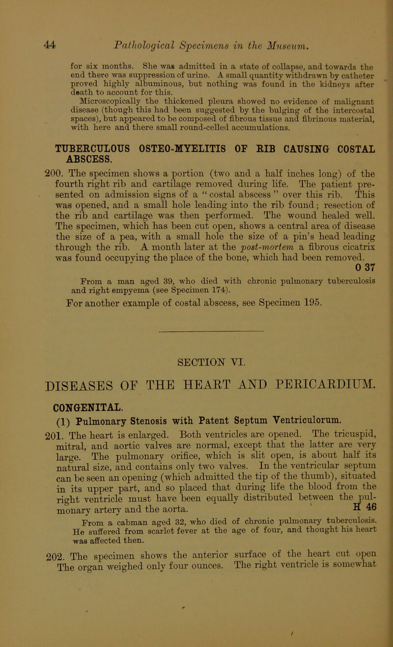 for six months. She was admitted in a state of collapse, and towards the end there was suppression of urine. A small quantity withdrawn by catheter proved highly albuminous, but nothing was found in the kidneys after death to account for this. Microscopically the thickened pleura showed no evidence of malignant disease (though this had been suggested by the bulging of the intercostal spaces), but appeared to be composed of fibrous tissue and fibrinous material, with here and there small roimd-celled accumulations. TUBERCULOUS OSTEO-MYELITIS OF RIB CAUSING COSTAL ABSCESS. 200. Tlie specimen shows a portion (two and a half inches long) of the fourth right rib and cartilage removed during life. The patient pre- sented on admission signs of a “ costal abscess ” over this rib. This was opened, and a small hole leading into the rib found; resection of the rib and cartilage was then perfoinned. The wound healed well. The specimen, which has been cut open, shows a central area of disease the size of a pea, with a small hole the size of a pin’s head leading through the rib. A month later at the post-mortem a fibrous cicatrix was found occupying the place of the bone, which had been removed. 0 37 From a man aged 39, who died with chronic pulmonary tiiberculosis and right empyema (see Specimen 174). For another example of costal abscess, see Specimen 195. SECTION VI. DISEASES OF THE HEART AND PERICARDIIBI. CONGENITAL. (1) Pulmonary Stenosis with Patent Septum Ventriculorum. 201. The heart is enlarged. Both ventricles are opened. The tricuspid, mitral, and aortic valves are normal, except that the latter are veiy large. The pulmonary orifice, which is sht open, is about half its natural size, and contains only two valves. In the ventricular septmn can be seen an opening (which admitted the tip of the thumb), situated | in its upper part, and so placed that during life the blood from the i right ventricle must have been equally distributed between the pul- I monary artery and the aorta. ' ® I From a cabman aged 32, who died of chronic pulmonary tuberciilosis. | He suffered from scarlet fever at the age of four, and thought his heart J was affected then. 202. The specimen shows the anterior surface of the heart cut open The organ weighed only four ounces. The right ventricle is somewhat